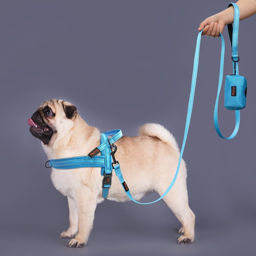 Didog No Pull Dog Harness with Soft Mesh Padded,Reflective & Quick Fit Light Weight Dog Strap Vest Harness,Easy for Walking Training (M:Chest 21-26", Mesh-Blue)