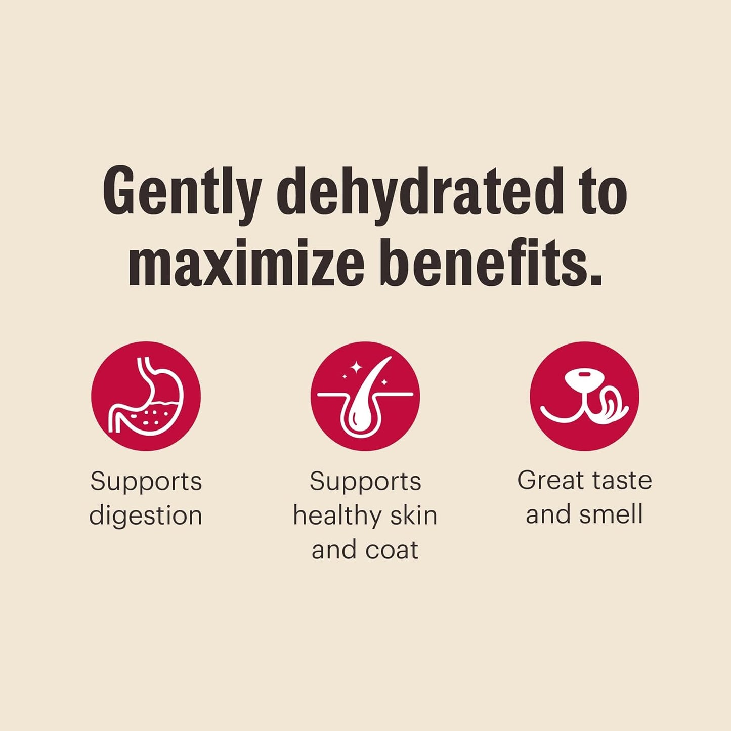 The Honest Kitchen Human Grade Dehydrated Grain Free Veggie, Nut & Seed Base Mix for Dogs - 7 Pound Box (Makes 12 Pounds)