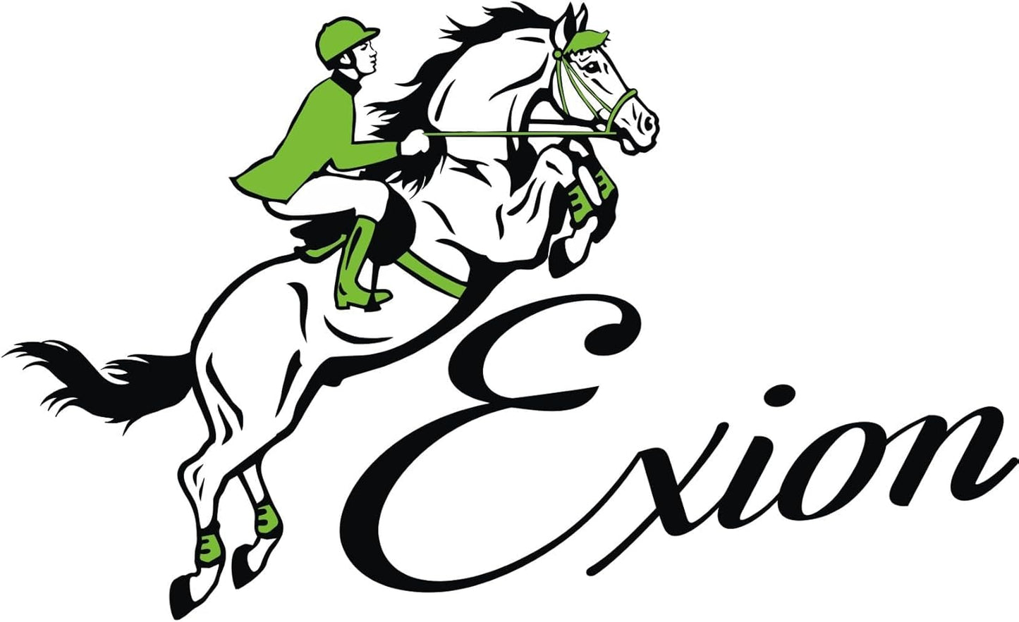 Exion Leather Horse Halter with Padding & Clincher Studs – Adjustable Quick‑Release Crownpiece Halter for Horses – Vegetable‑Tanned Leather in Black & Brown – Cob, Full & Oversize