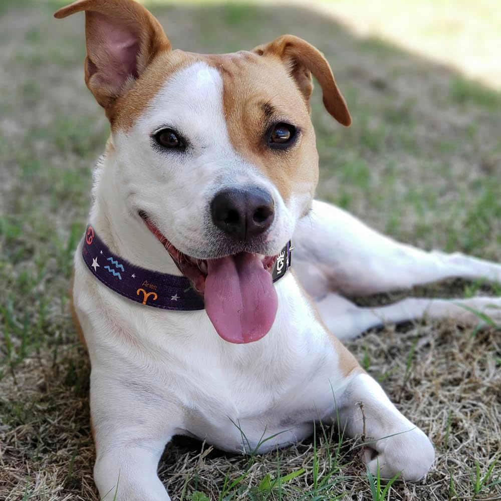 TSPRO Tactical Dog Collar 1.25 Inch Wide Thick Dog Collars with Heavy Duty Metal Buckle, Durable, Strong, Adjustable for Small Dogs (Constellation Purple S)