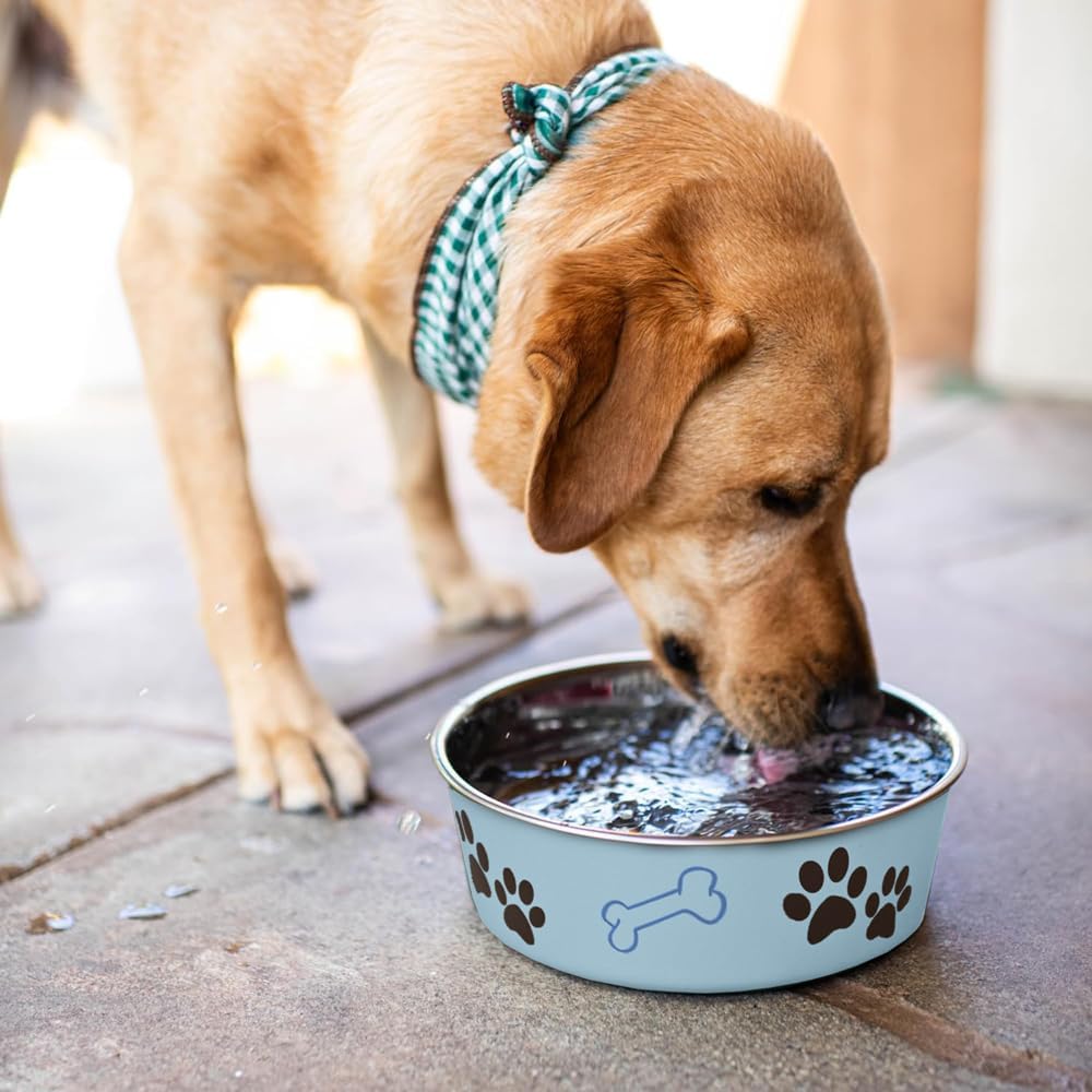 Loving Pets Bella Dog Bowls- Stainless Steel Dog & Cat Bowls - Spill Proof Dog Food Bowl, Cat Bowl, Puppy Essentials & Pet Supplies Great for Home & Travel (Medium 20-25 lbs, Murano Blue)