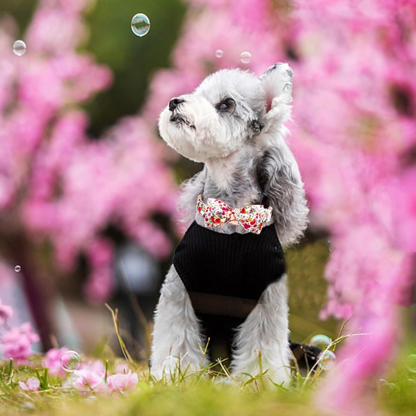 Elegant little tail Dog Collar, Pink Rose Print Pet Collar Summer Dog Collar Durable Metal Buckle Dog Collars Cotton Pet Adjustable Dog Collars for Large Dogs