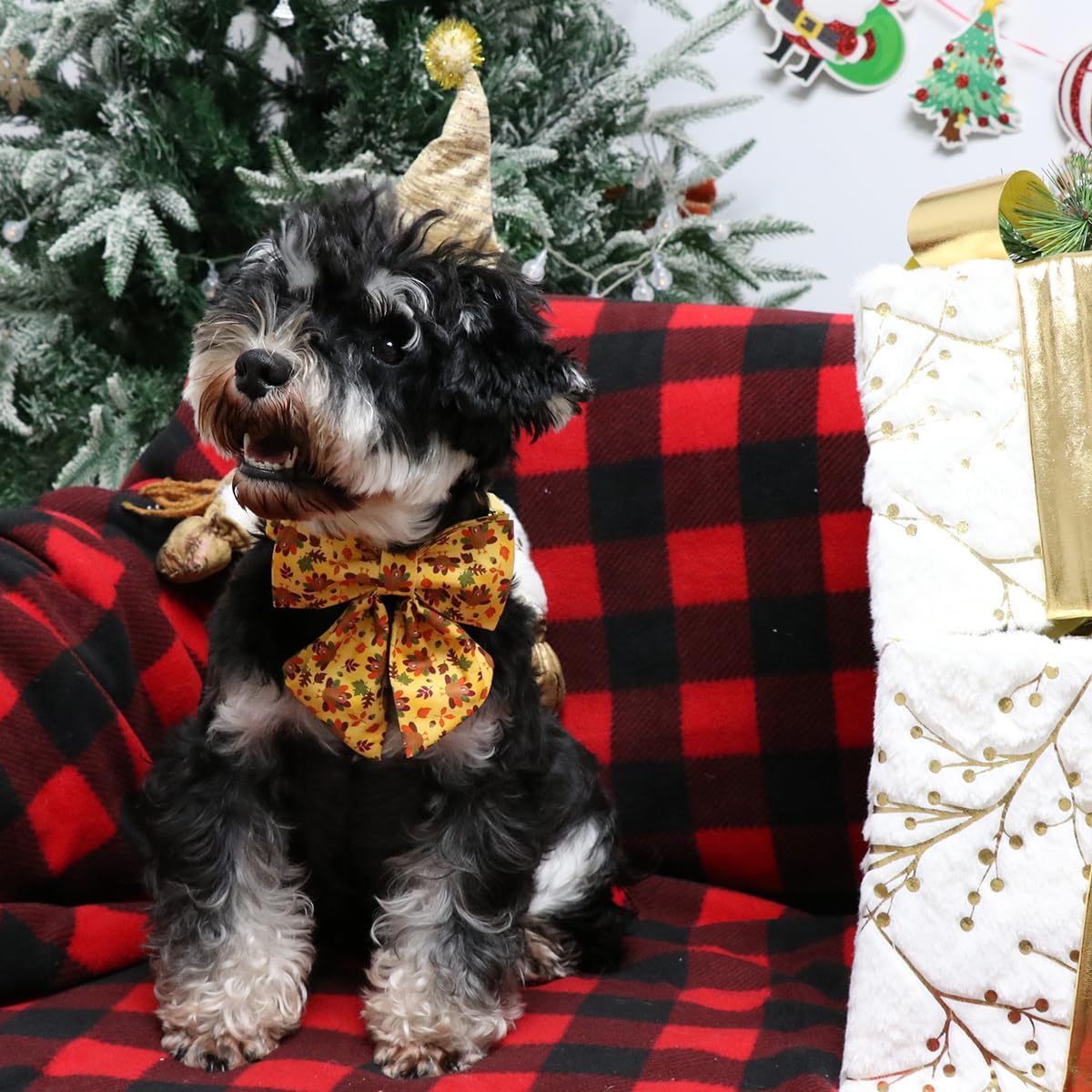 Lionet Paws Thanksgiving Day Dog Collar with Bowtie, Dogs Sailor Bow Collar with Metal Buckle for Dogs, Adjustable Comfortable Dog Collars Girl, XS, Neck 8-12 in