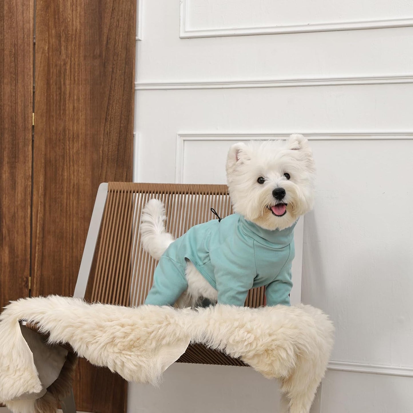 Dog Pajamas for Large Breeds with Back Zipper, Soft Pjs for Pets Boys & Girls, Long Sleeve Anti-Licking Recovery Suit for Dogs, Dog E-Collar Alternative for Weimaraner, Dalmatian, Green XL