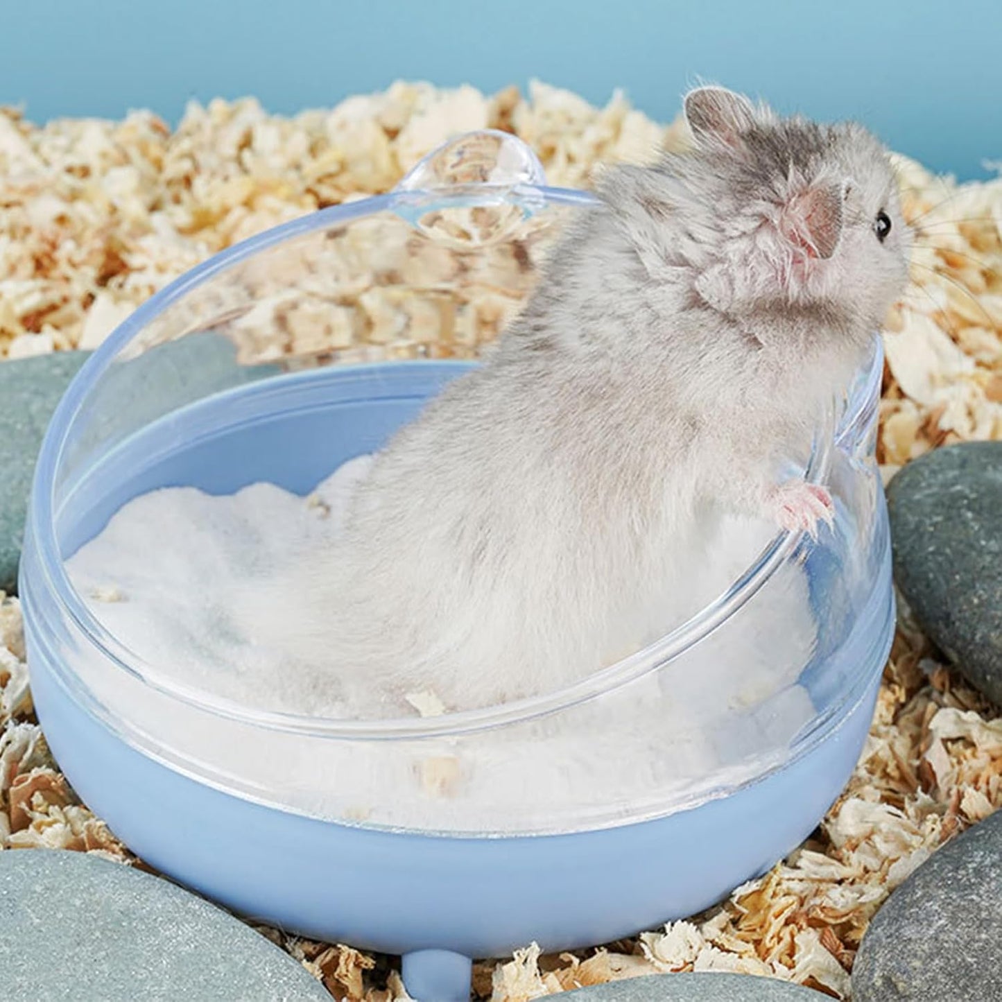 Meow&Woof Hamster Sand Bath Container, Large Sandbox Toilet Gerbil Batheoom, Tiny Chinchilla Dust Bathtub Sand Bath Box for Hamster Cage Accessories 6.5 Inch - Blue
