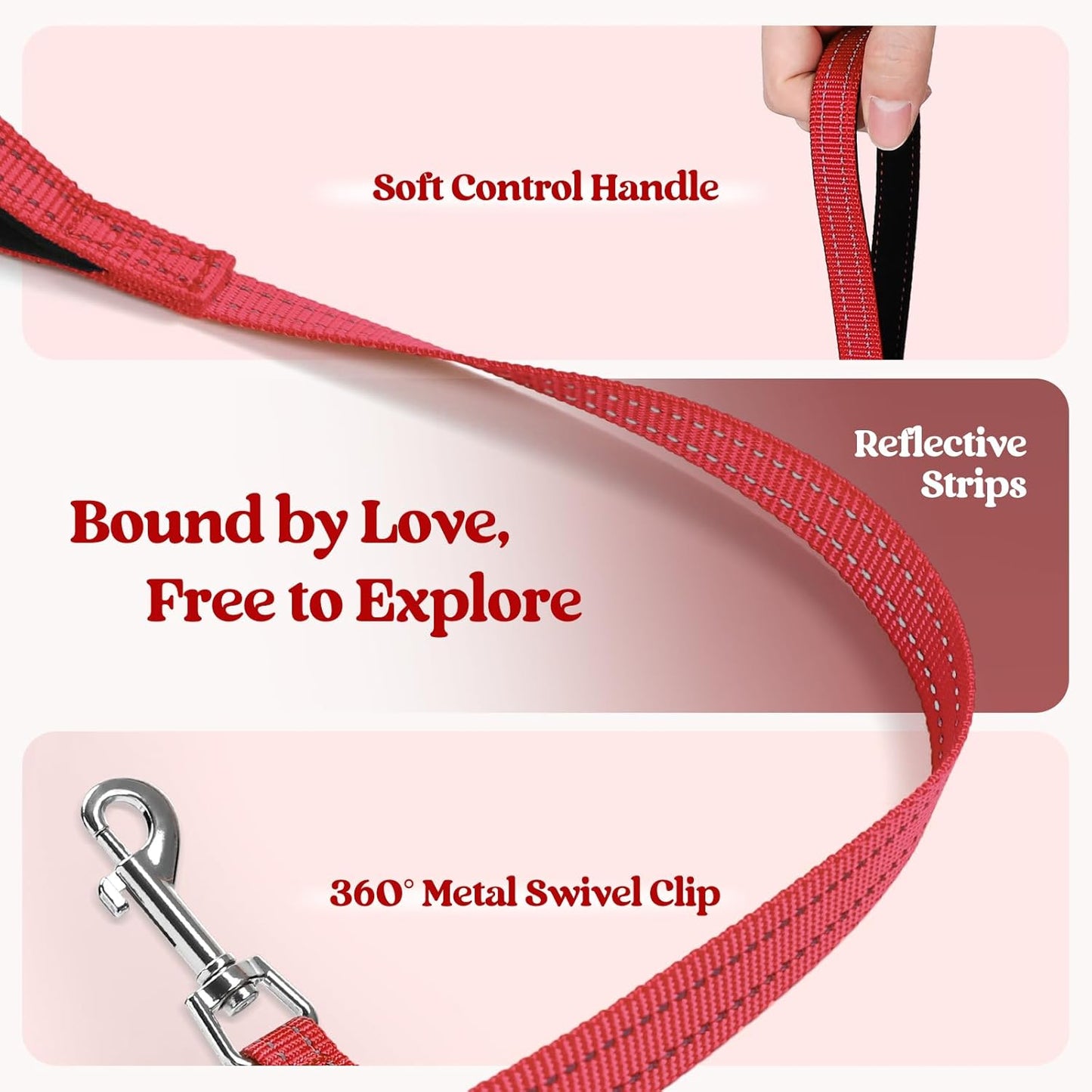 rabbitgoo Dog Harness Small Medium Sized and Leash Set, Step in Soft Light Puppy Vest, Breathable Mesh Pet Harness, Reflective for Safe Easy Walking, Red L