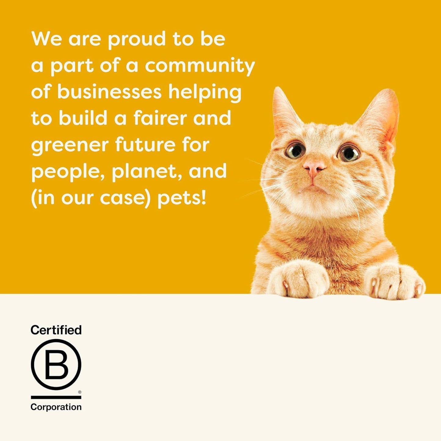 Applaws Natural Wet Cat Food in Broth, Limited Ingredient Canned Wet Cat Food, No Additives, Made with Natural Ingredients, Chicken Selection in Broth Cans (20 x 5.5 oz Cans)