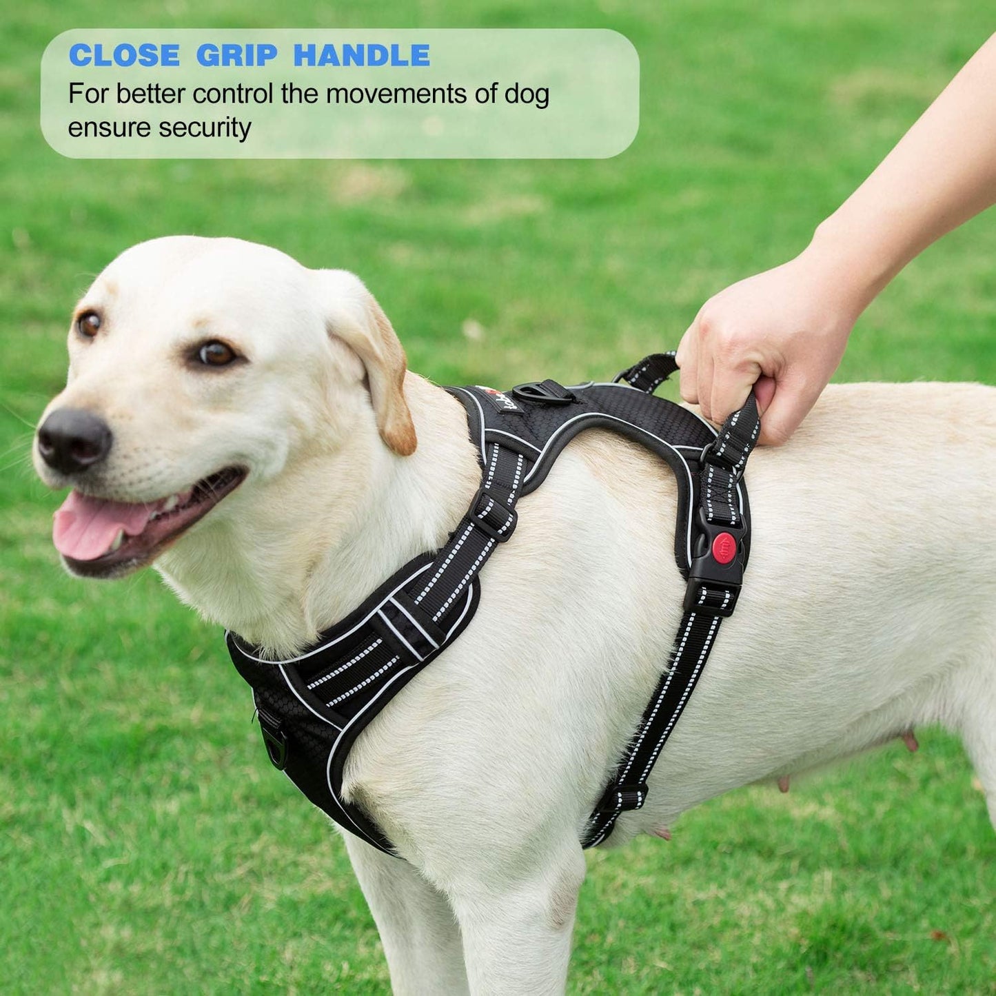 No Pull Dog Harness Adjustable Reflective Oxford Easy Control Medium Large Dog Harness with A Free Heavy Duty 5ft Dog Leash (L (Chest: 25.5"-31"), Orange Harness+Leash)