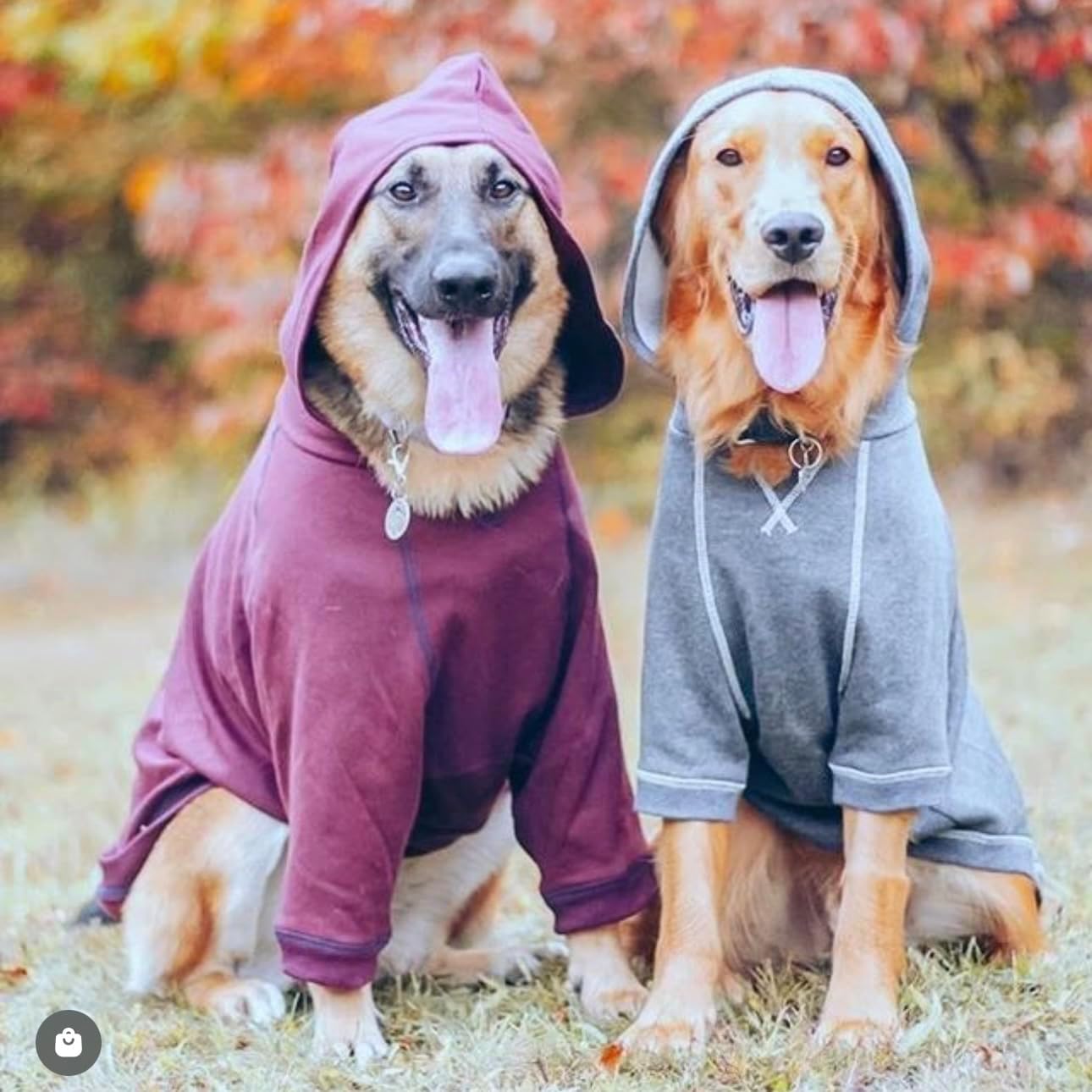 Blueberry Pet Essentials Hoodie – 22″ Cotton‑Blend Sweatshirt with Hood, Burgundy Red, Machine‑Washable Dog Jersey