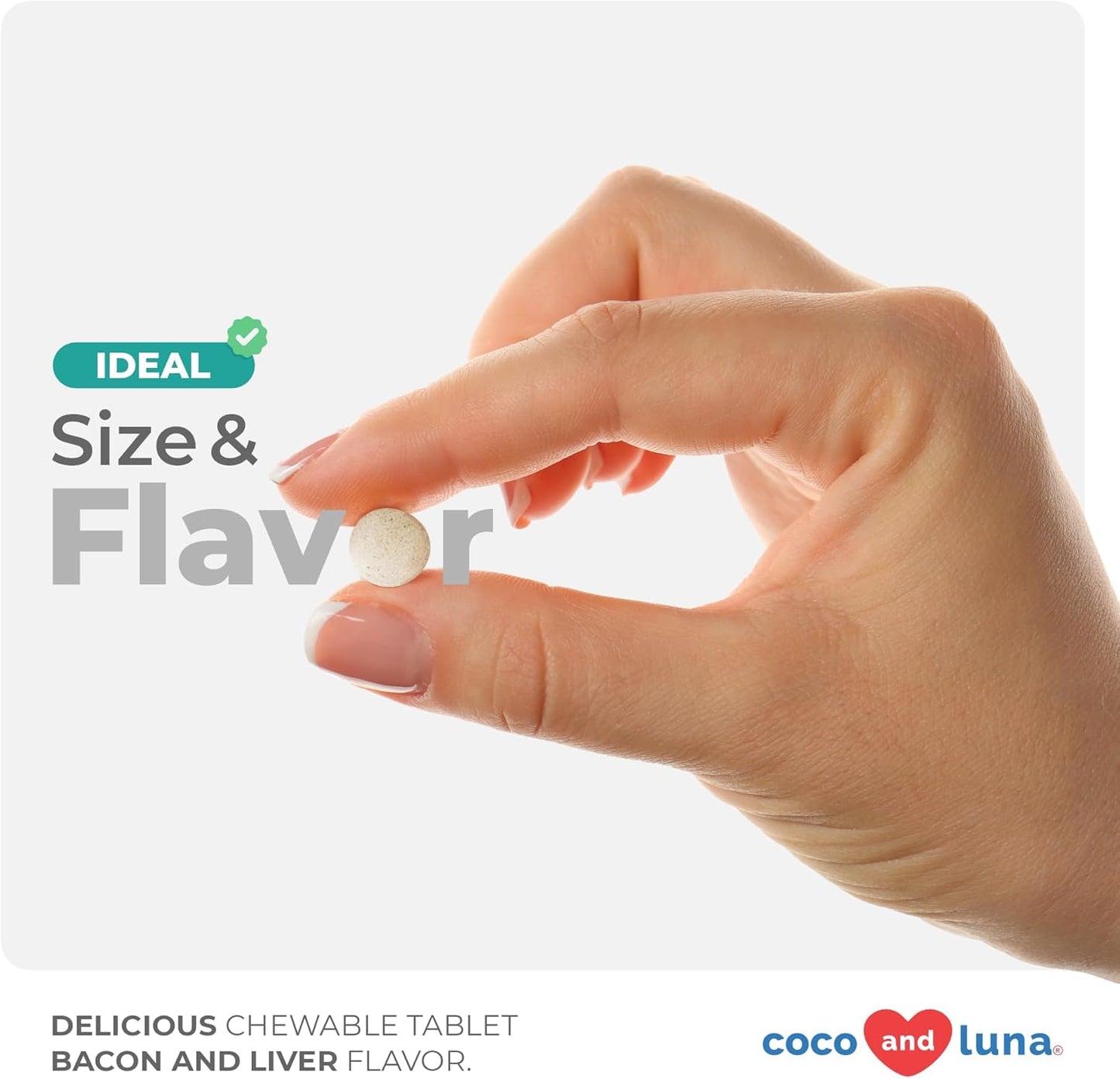 Probiotics for Dogs - 120 Chewable Tablets - Diarrhea & Gas Support - with Honey Pumpkin and Prebiotics for Dog Allergies, Bad Breath & Constipation Support