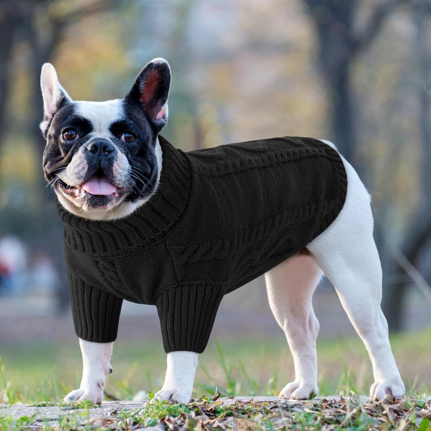 Queenmore Small Dog Pullover Sweater, Cold Weather Cable Knitwear, Classic Turtleneck Thick Warm Clothes for Chihuahua, Bulldog, Dachshund, Pug (Black, X-Small)