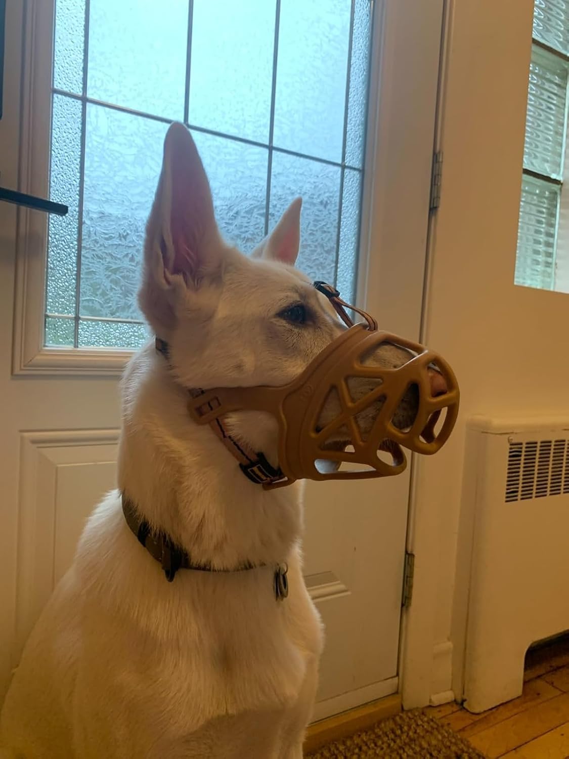 Mayerzon Dog Muzzle, Breathable Basket Muzzles for Small, Medium, Large and X-Large Aggressive Dogs Beagle German Shepherd Doberman, Cage Mouth Guard Stop Biting Chewing for Grooming Training