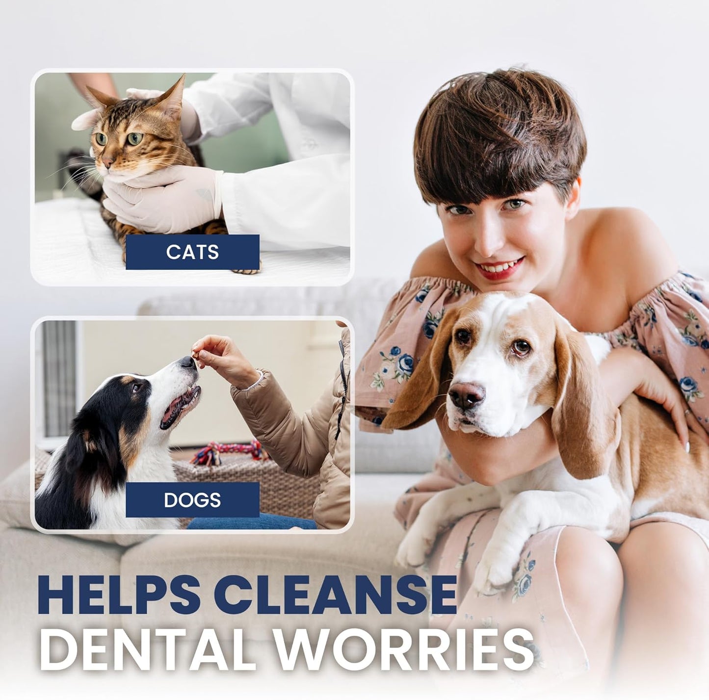 RAD PET - Advanced Pet Dental Hygiene Kit, Vet-Formulated Cat & Dog Tooth Brushing Kit, Complete Oral Care with Cat/Dog Toothbrush and Toothpaste (Enzymatic), Pet Dental Wipes & Water Additive