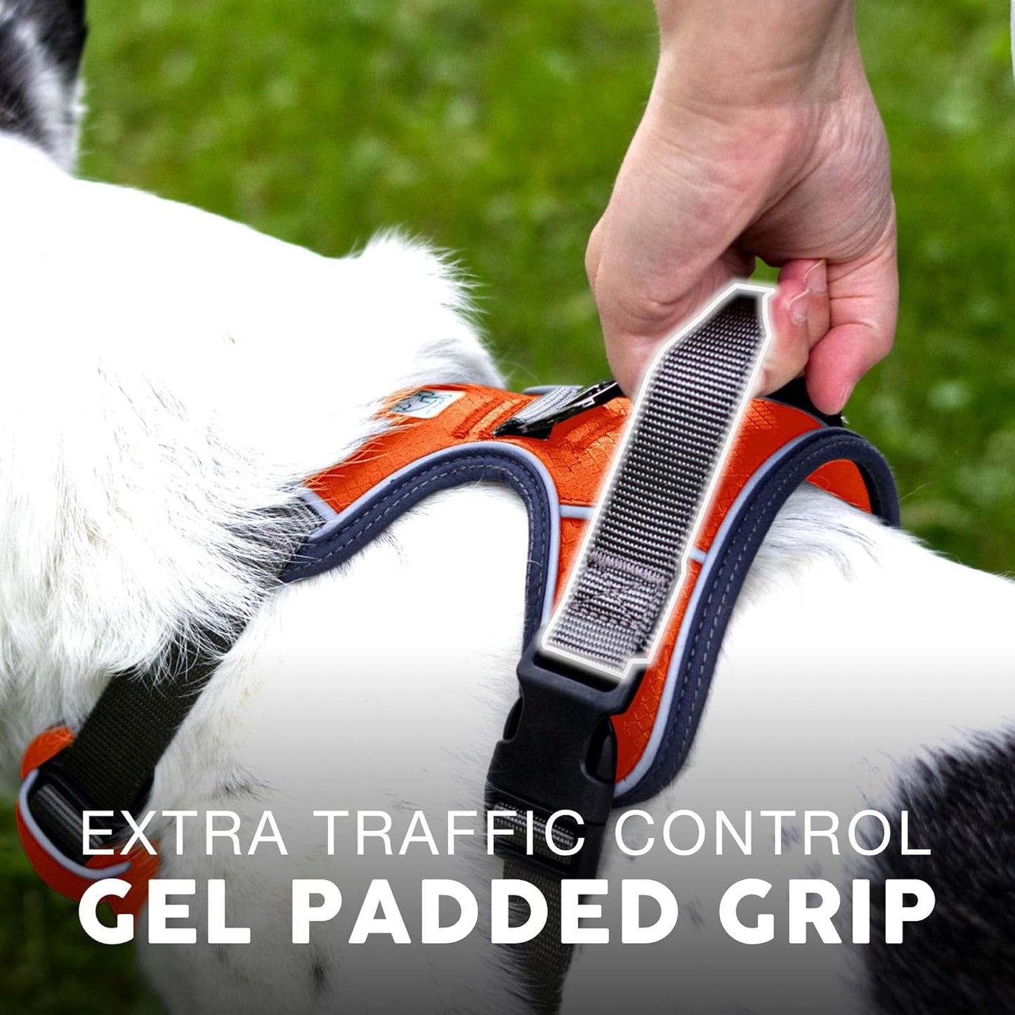 Embark Adventure Dog Harness, Reflective Trim No Pull Dog Harnesses for Small Sized Dogs - Military Grade Nylon, Front Clip with Gel Lined Handle.