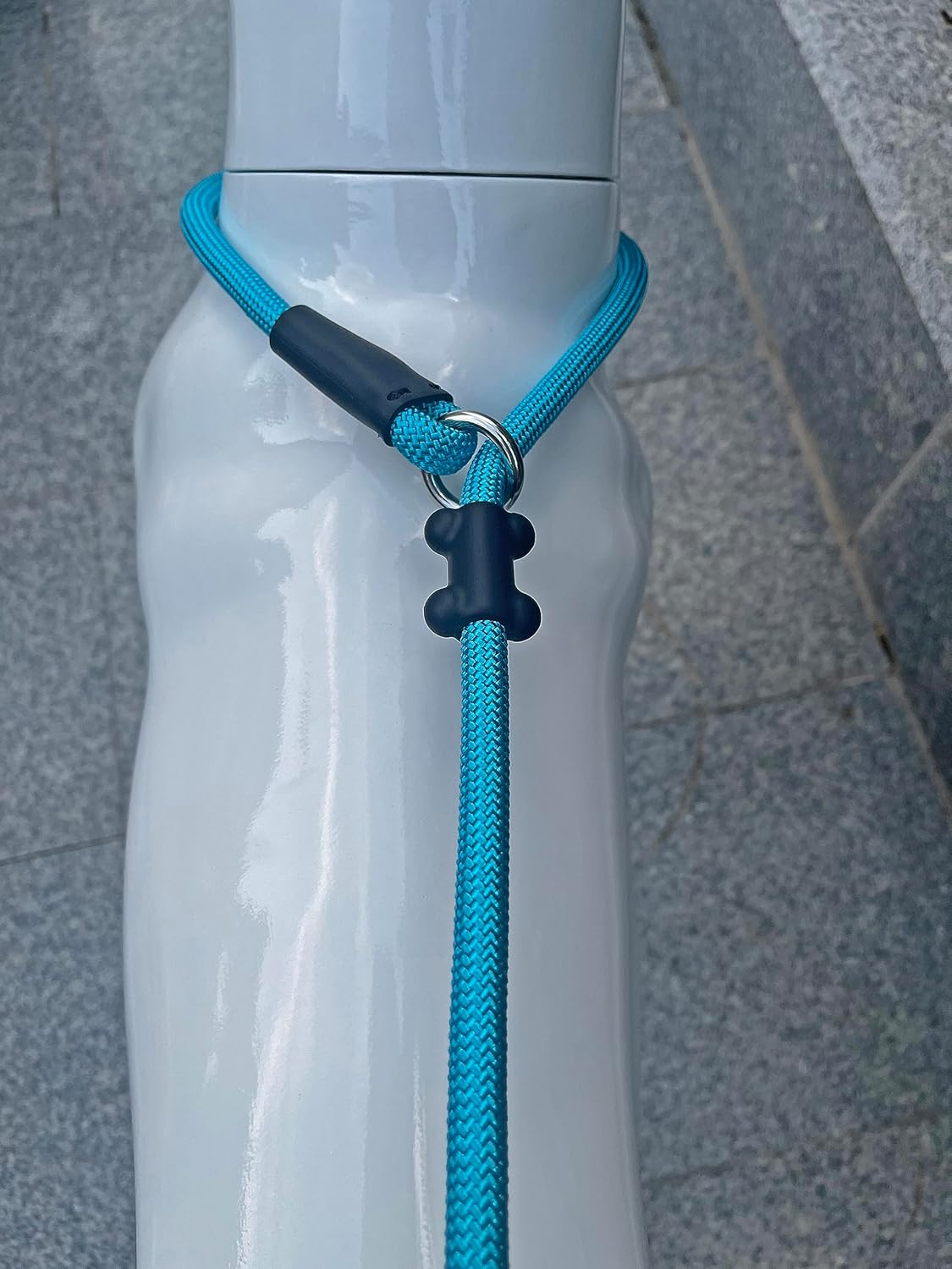 Slip Lead Dog Leash,Strong Nylon Rope Leash and Padded Handle,No Pull Outdoor Walking Training Lead for Small Medium Large Dogs(Blue, 1/2"×6ft)