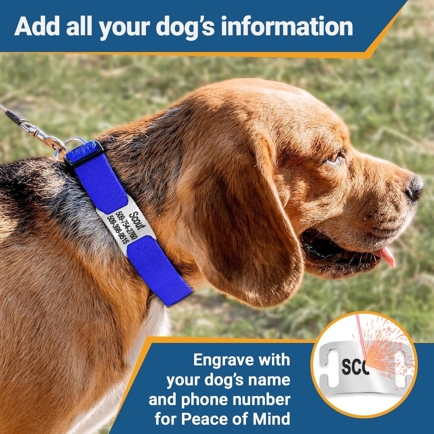 GoTags Personalized Dog Collar with Nameplate, Adjustable Dog Collar with Custom Engraved Slide On Pet ID Tag in Stainless Steel, Silent, No Noise Dog Tag for Large Medium and Small (Black, Small)