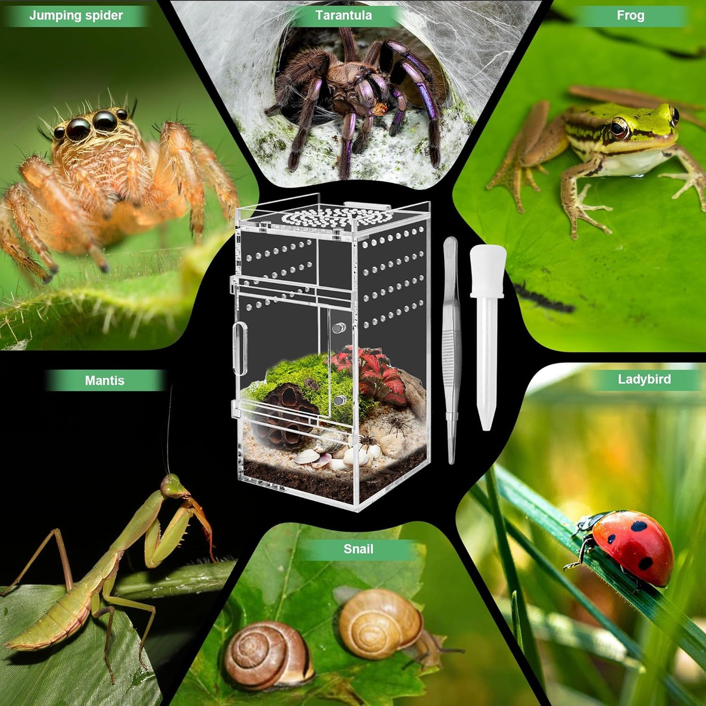 Jumping Spider Enclosure, 3x3x6 Inch Jumping Spider Habitat with Magnet Opening Door Jumping Spider Accessories Small Acrylic Terrarium for Tarantula and Praying Mantis