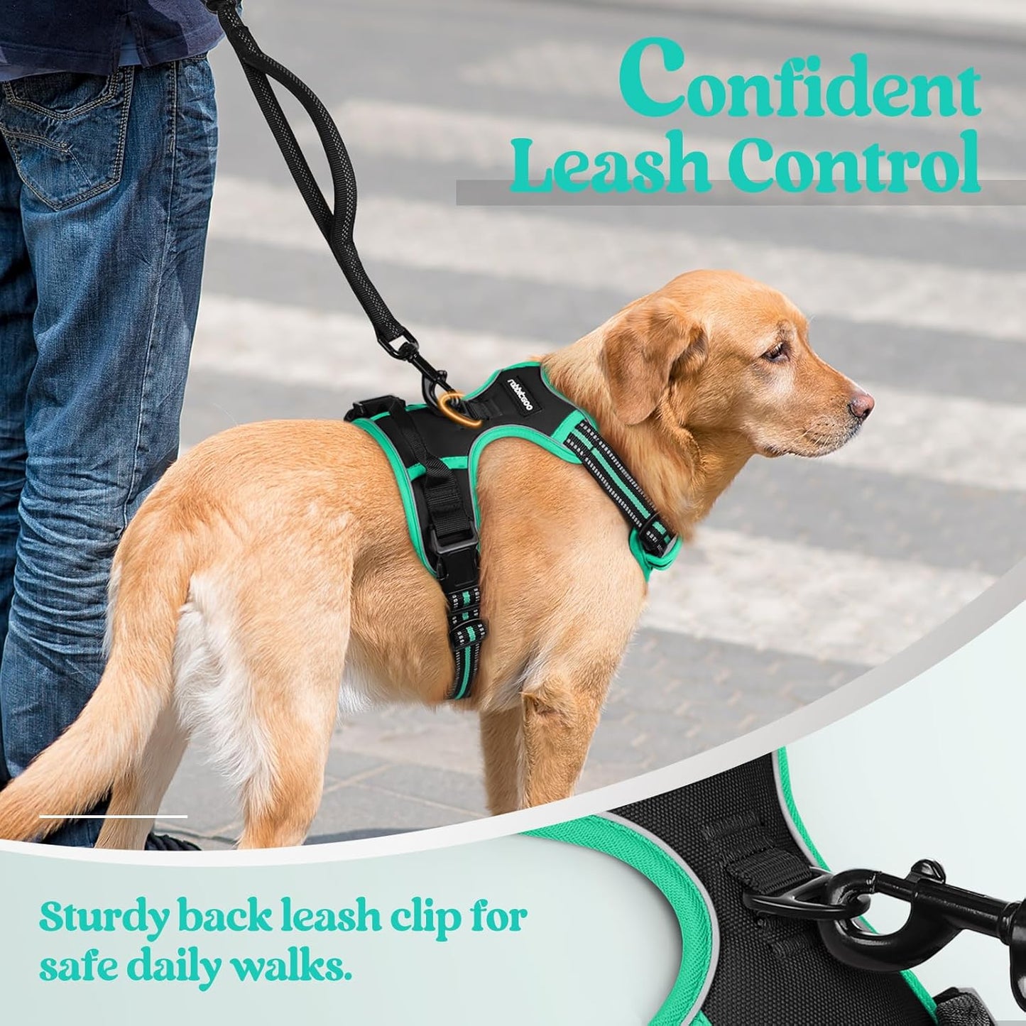 rabbitgoo Dog Harness No Pull with 2 Leash Clips, Adjustable Soft Padded, Reflective Oxford No Choke Pet Vest with Easy Control Handle for Large Dogs, Black & Turquoise, XL