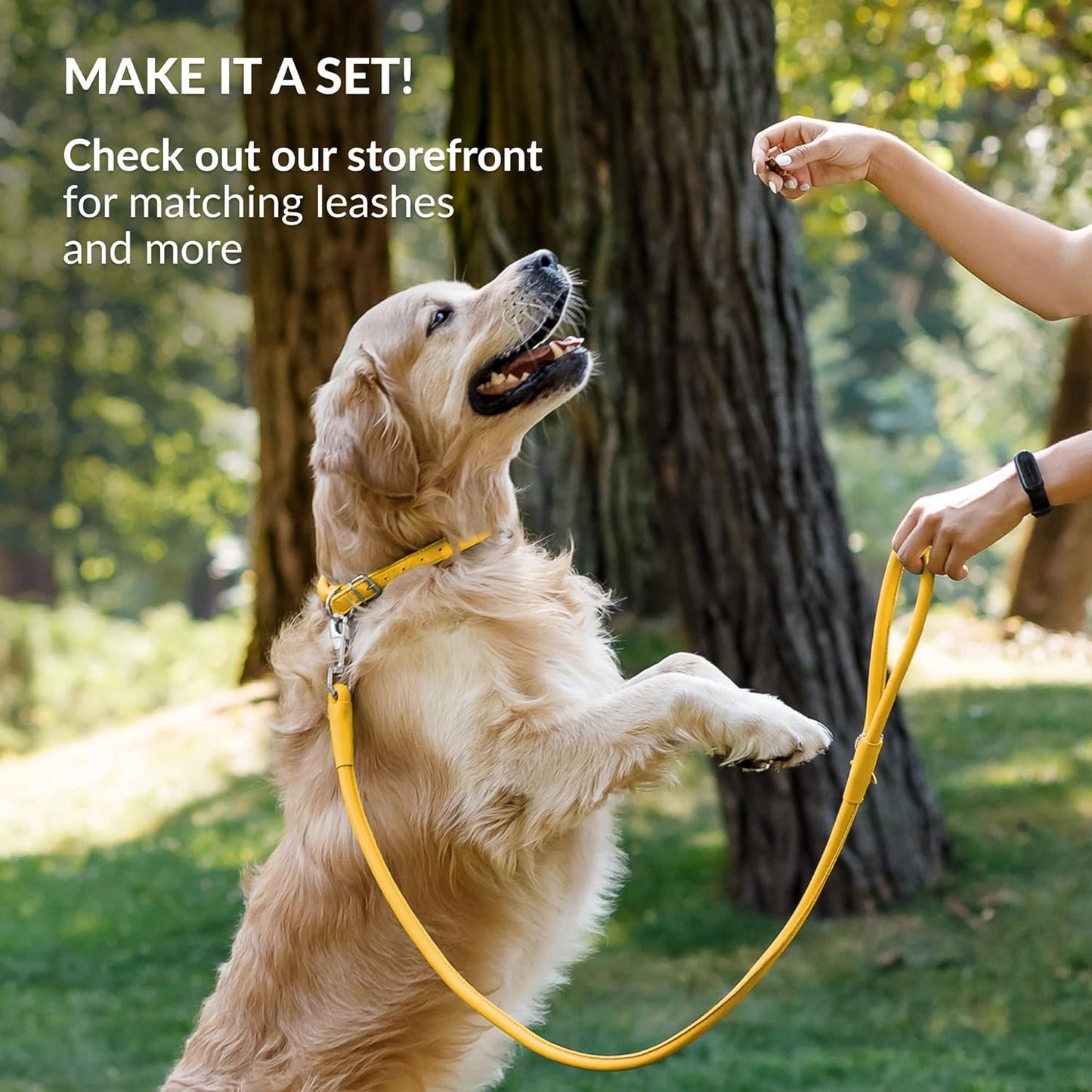 CollarDirect Rolled Leather Dog Collar, Soft Padded Round Puppy Collar, Handmade Genuine Leather Collar Dog Small Large Cat Collars 13 Colors (11-14 Inch, Yellow Smooth)