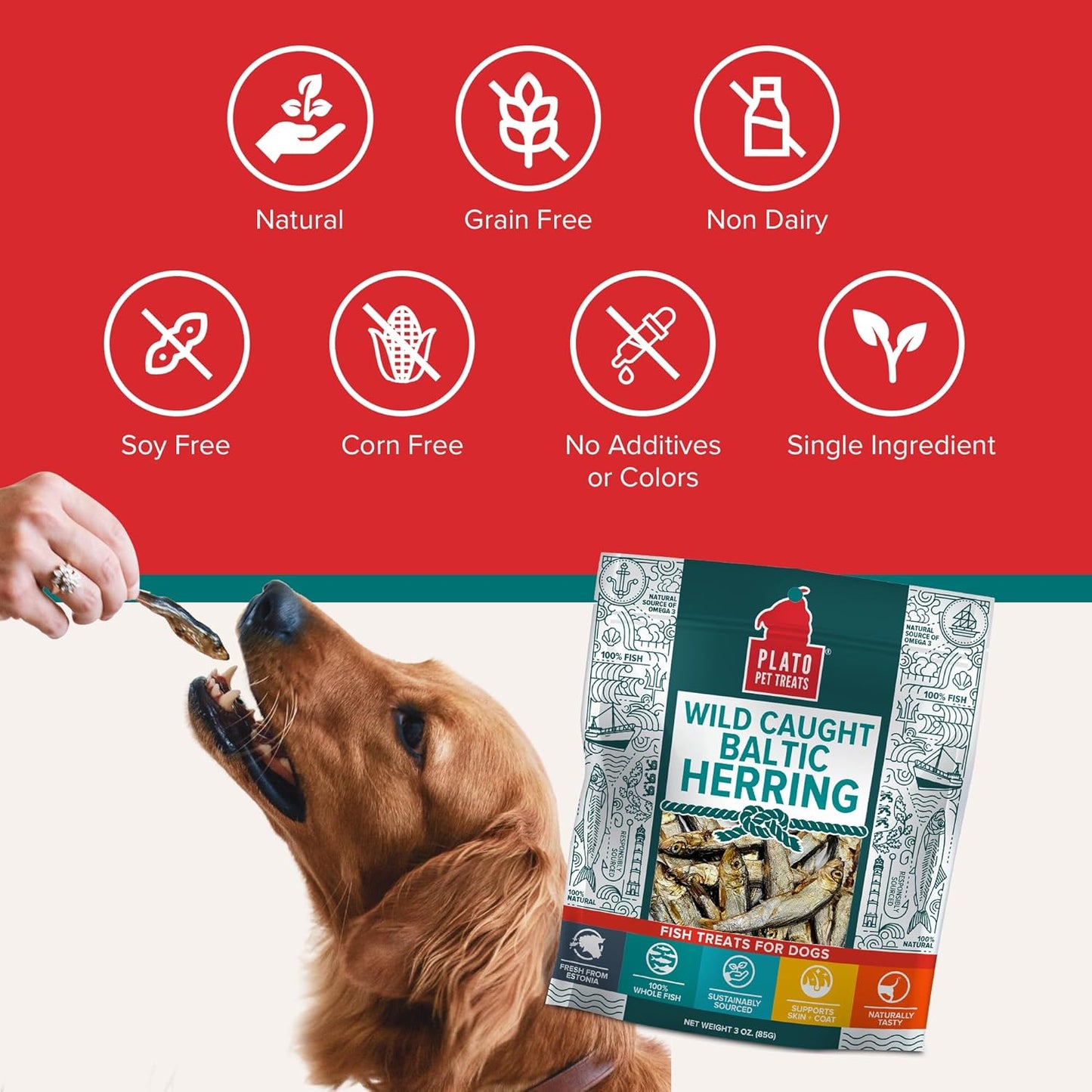 PLATO Pet Treats Fish Dog Treats - Air-Dried, Single Ingredient Dog Treat - with Omega 3 & 6 Fatty Acids to Support Skin and Coat - 100% Whole Fish - Wild Caught Baltic Herring Dog Treats - 3oz