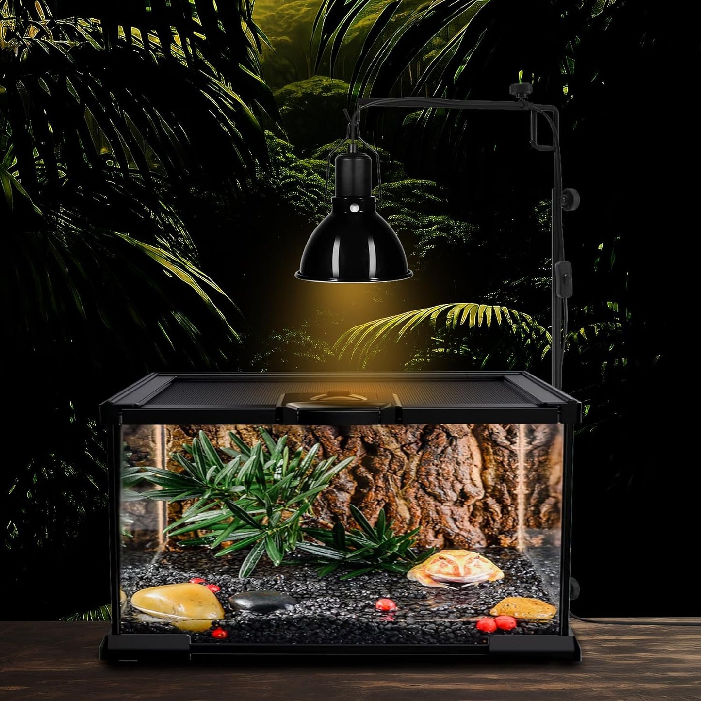 5.5 inch Dome Reptile Light Fixture Reptile Heat Lamp UVB Light Fixture for Bearded Dragon, Lizard, Hermit Crab, Turtle Tank and Terrarium(Max 100W)