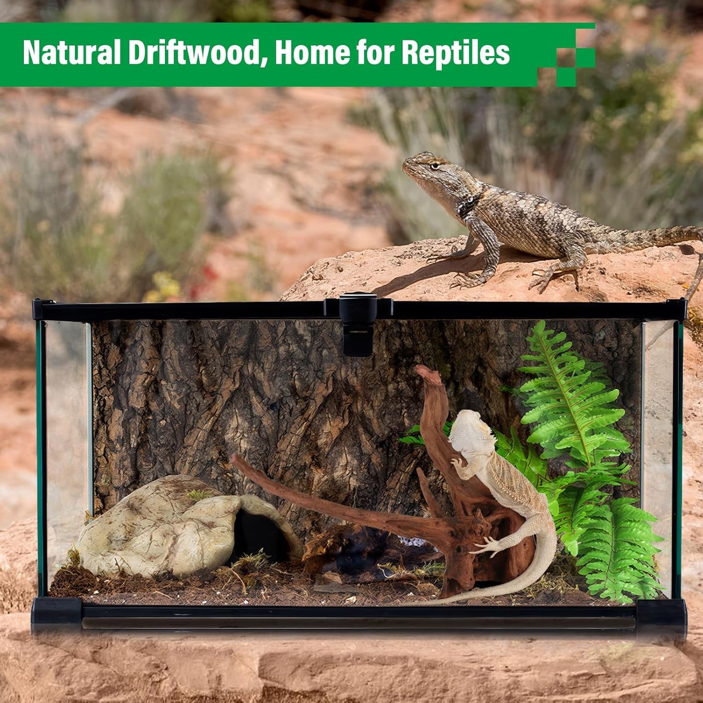 Driftwood for Aquarium Natural Aquarium Wood for Aquascaping Fish Tank Decorations Reptile Tank Decor (Natural Driftwood 6-10" (Pack of 3))