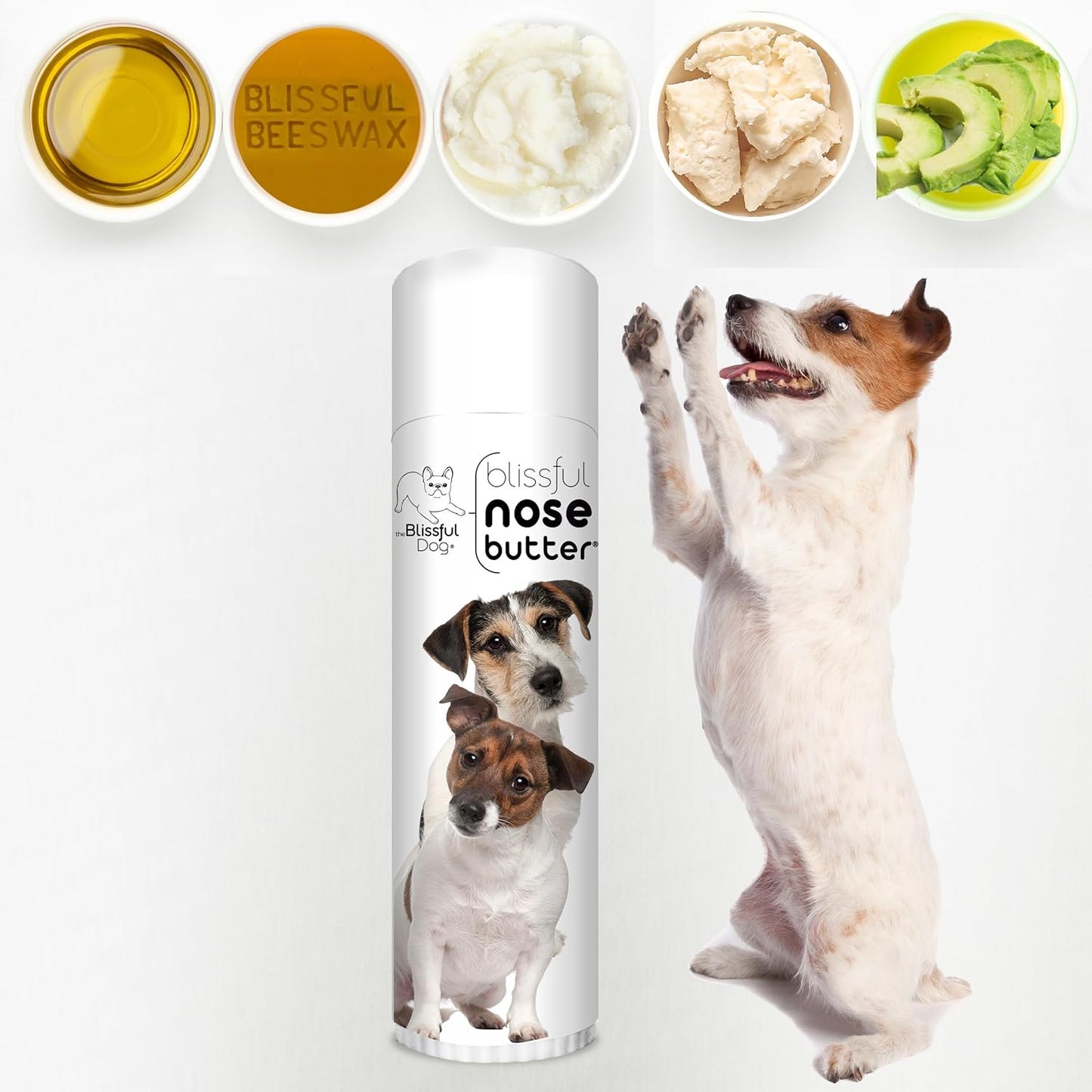 The Blissful Dog Jack Russell Terrier Nose Butter for Dry, Cracked Skin, Lick-Safe Dog Nose Balm with Moisturizing Shea Butter, Almond, Olive, and Essential Oils, Pet Supplies, Uncented, 0.50 oz.