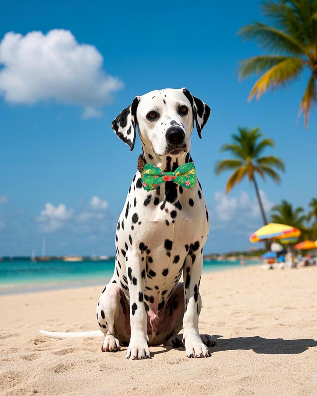 PET SHOW 10 Pack Summer Big Dog Bow Ties for Large Medium Dogs Sliding Collar Attachments Hawaiian Bowties Floral Fruit Bowknots Party Holiday Pet Grooming Accessories(Large)