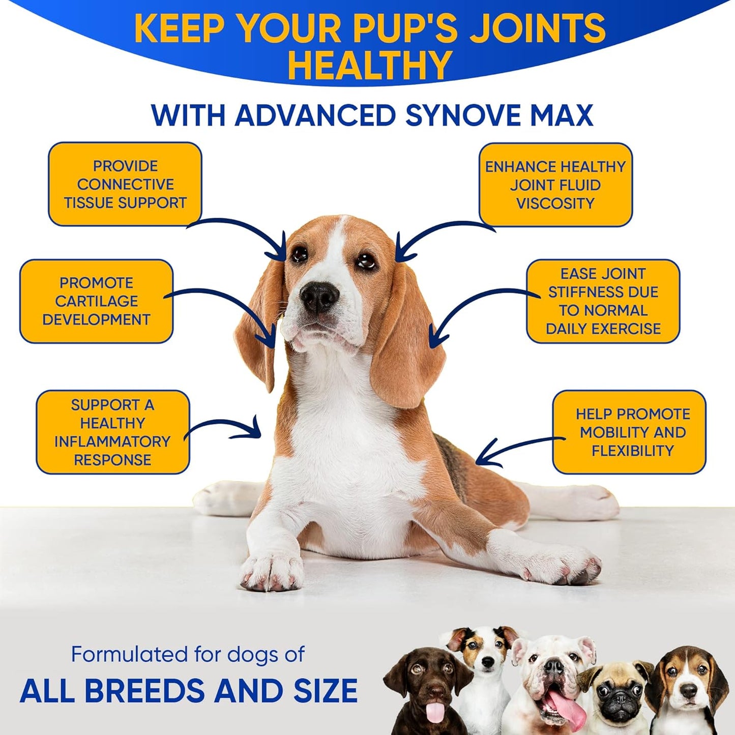 Synove Max Soft Chews for Dogs (240 Count) Beef Flavor, Joint Supplement, Glucosamine, Turmeric, Boswelllia serrata, Creatine Naturally Derived Ingredients better than synovi g4 soft chew