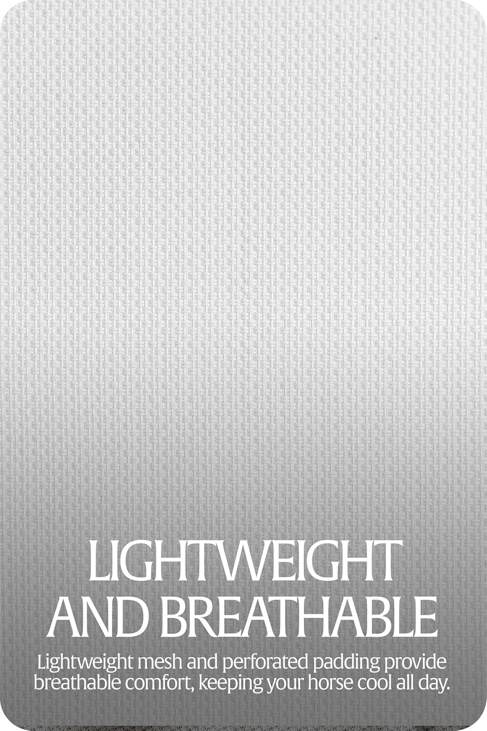 Equinavia Algard Soft Mesh Horse Fly Mask with Ear Protection and 45 UPF Rating | No Eye Irritation & UV Protection - Silver/Turquoise - Pony