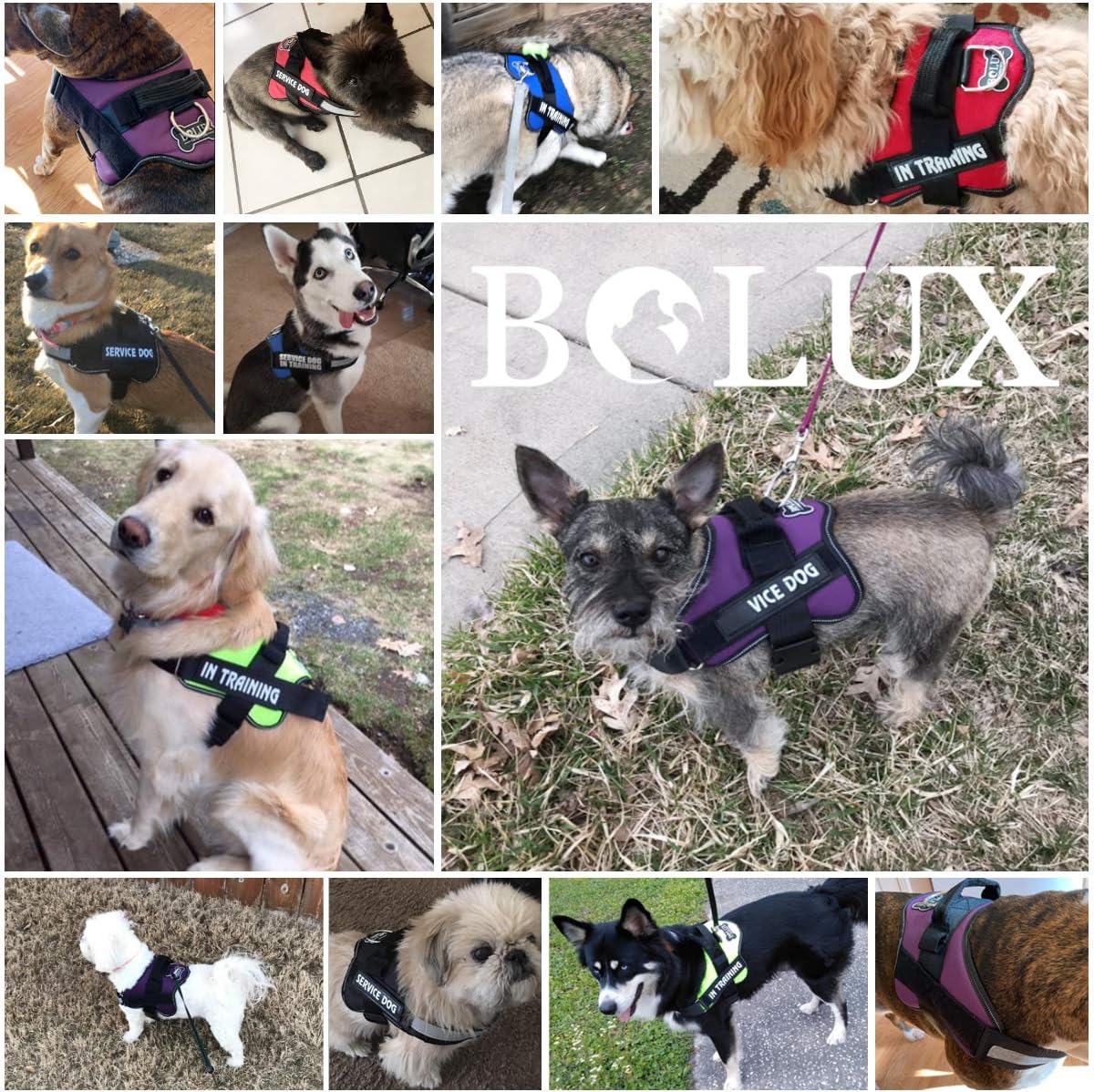 Bolux Dog Harness, No-Pull Reflective Dog Vest, Breathable Adjustable Pet Harness with Handle for Outdoor Walking - No More Pulling, Tugging or Choking (Army Yellow, S)