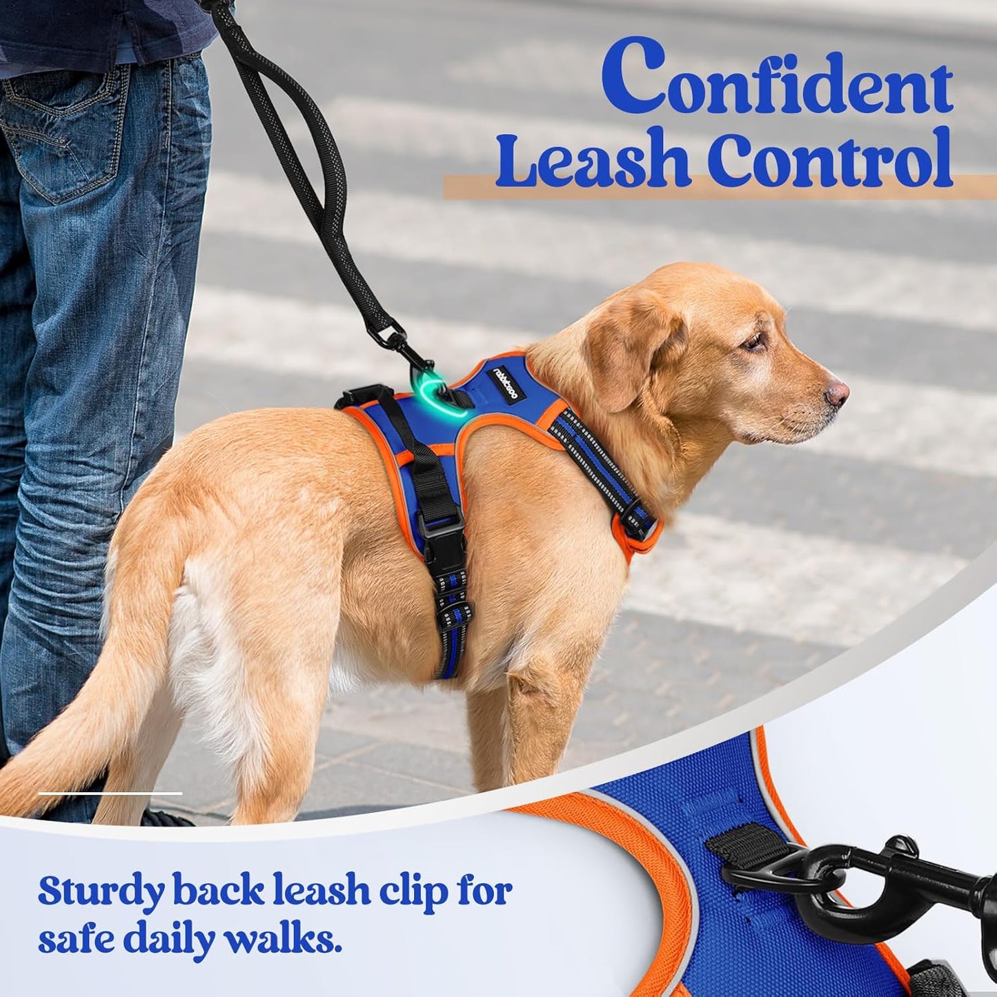rabbitgoo Dog Harness No Pull with 2 Leash Clips, Adjustable Soft Padded, Reflective Oxford No Choke Pet Vest with Easy Control Handle for Medium Sized Dogs, Blue & Orange, M