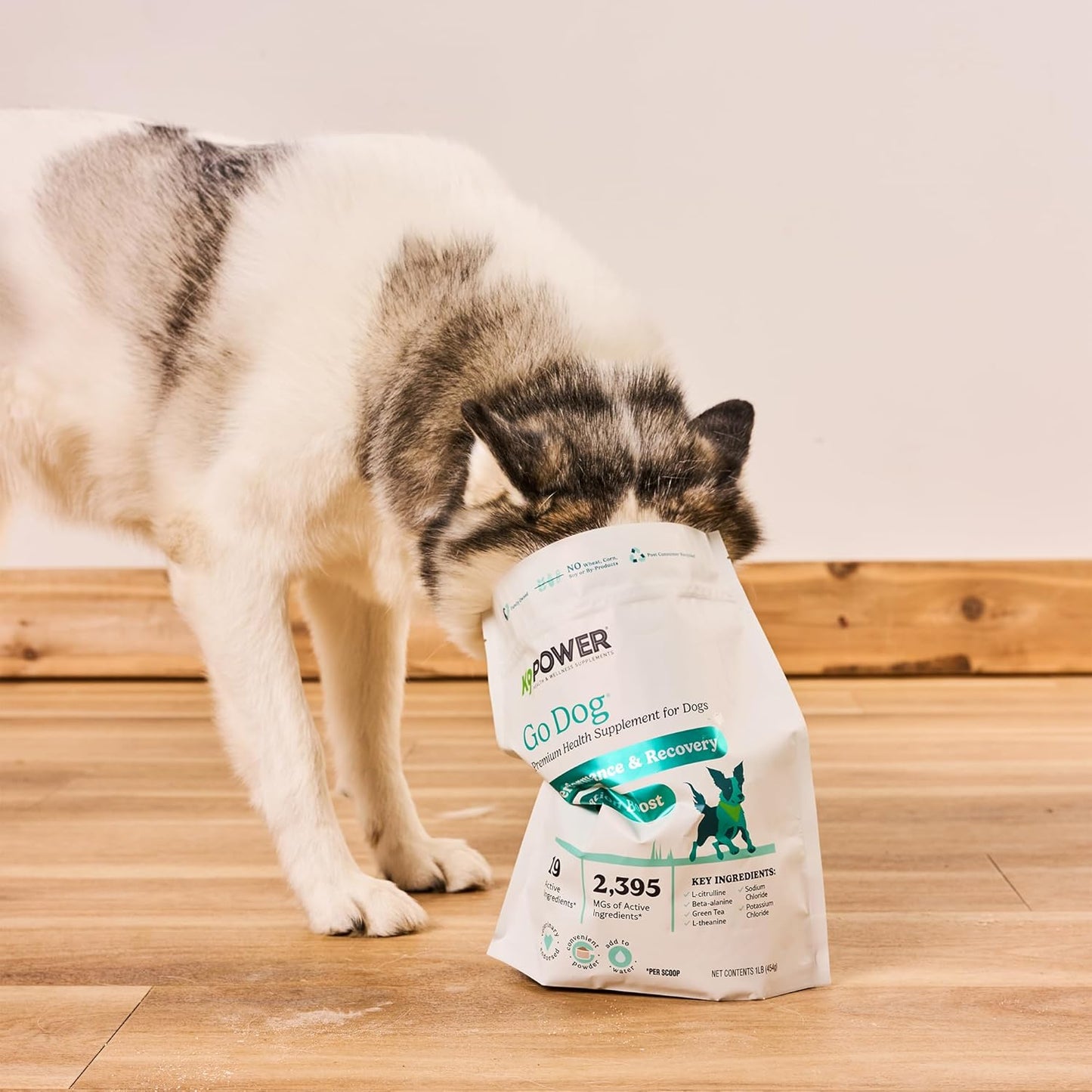 K9 Power Go Dog Hydration & Performance Drink Mix 1 lb - Active Dog Supplement for Muscle Function, Endurance, Recovery, with Electrolytes Support