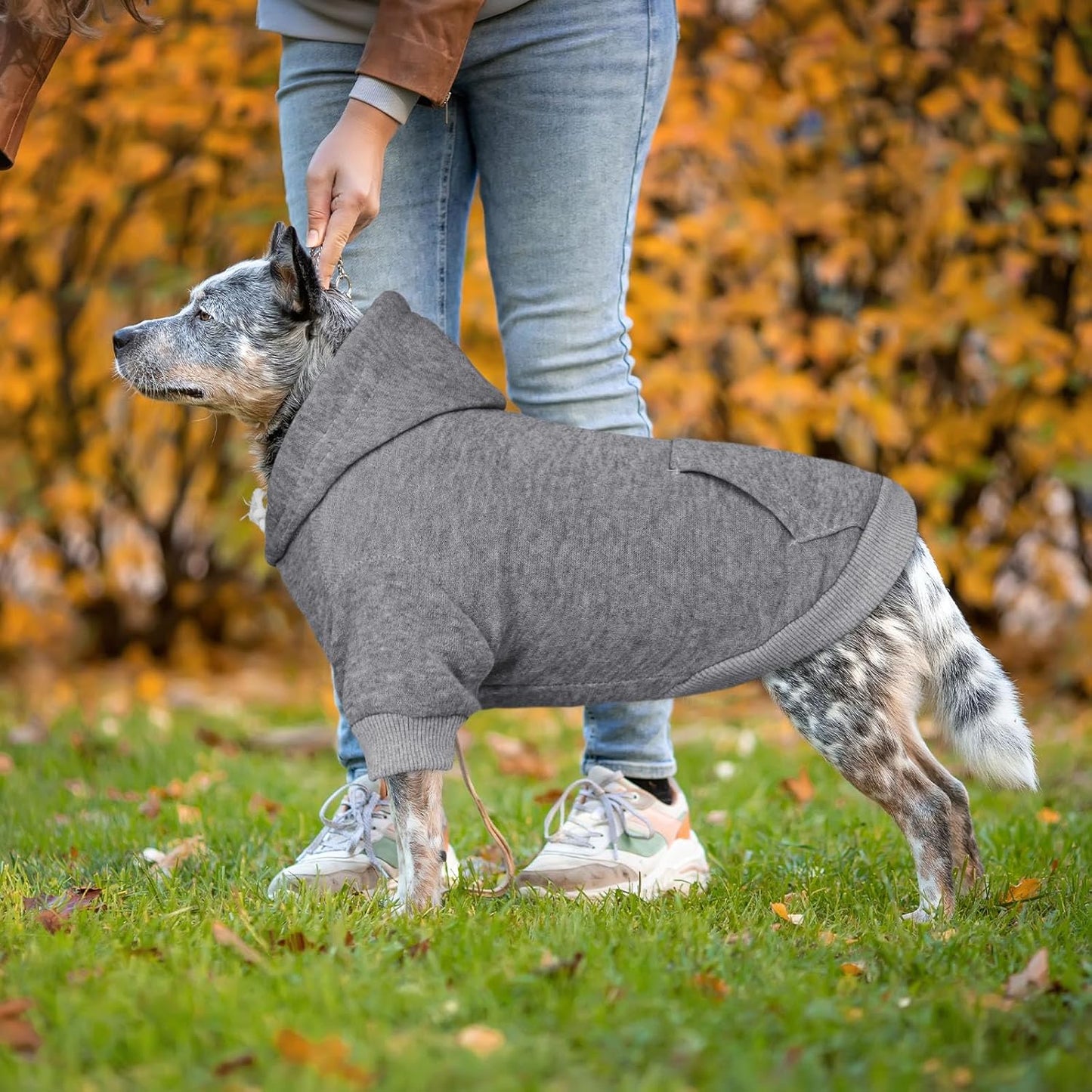 Dog Sweaters for Large Dogs Dog Hoodie Dog Sweater Solid Soft Brushed Fleece Dog Clothes Dog Hoodie Sweatshirt with Pocket(Grey-XL)