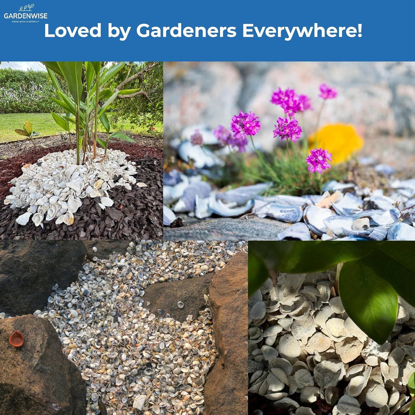 Natural Organic Sea Shell Mulch for Gardens and Landscaping – Decorative and Nutrient-Rich, 0.5–3-Inch Shells, Perfect for Indoor and Outdoor Use (0.7 CF - 20 L - 21 QTS)