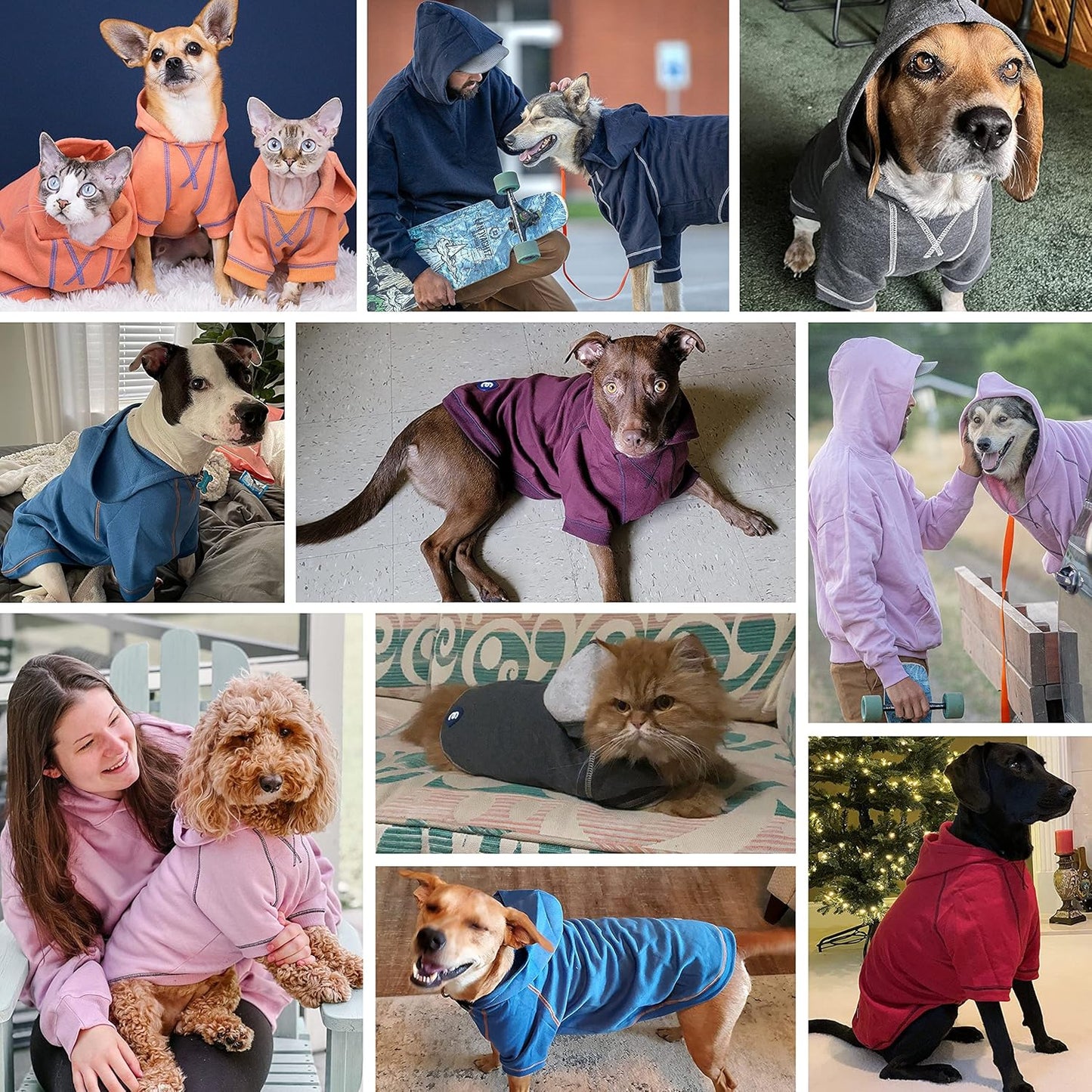 Blueberry Pet Dog Hoodie – 12″ Cotton‑Blend Mid‑Weight Sweatshirt with Hood, Award‑Winning Small‑Dog Jacket, Burgundy Red