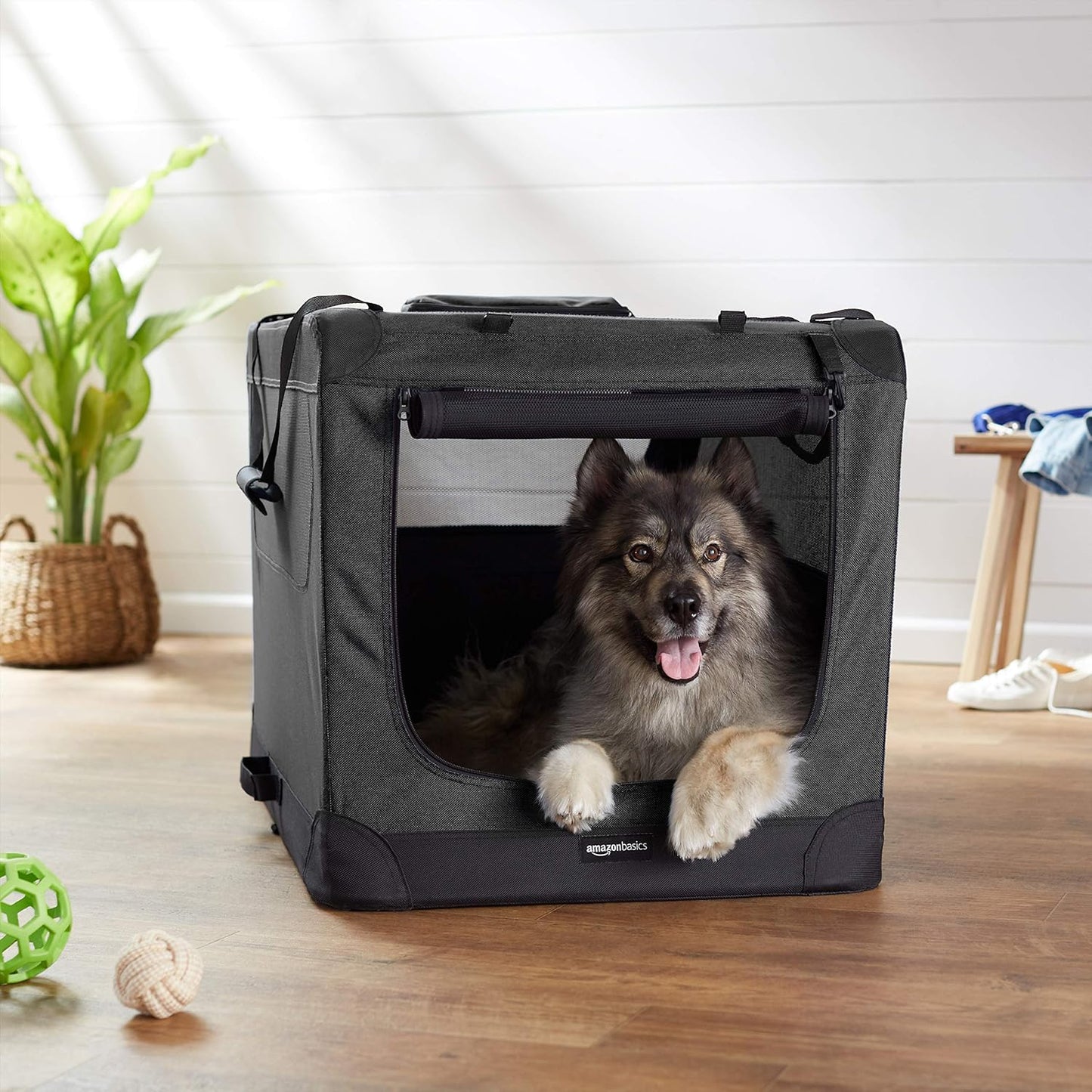 Amazon Basics Folding Portable Soft Pet Dog Crate Carrier Kennel, 36 x 24 x 24 inches, Black