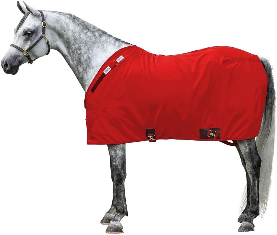 Horse Blankets & Sheets