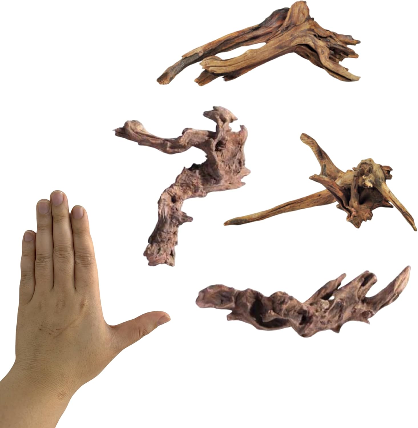 Aquarium Accessories