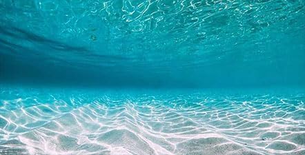 36X18IN Natural Undersea Aquarium Background, Undersea Beach Fish Tank Background, with 8 EVA Double-Sided Tape