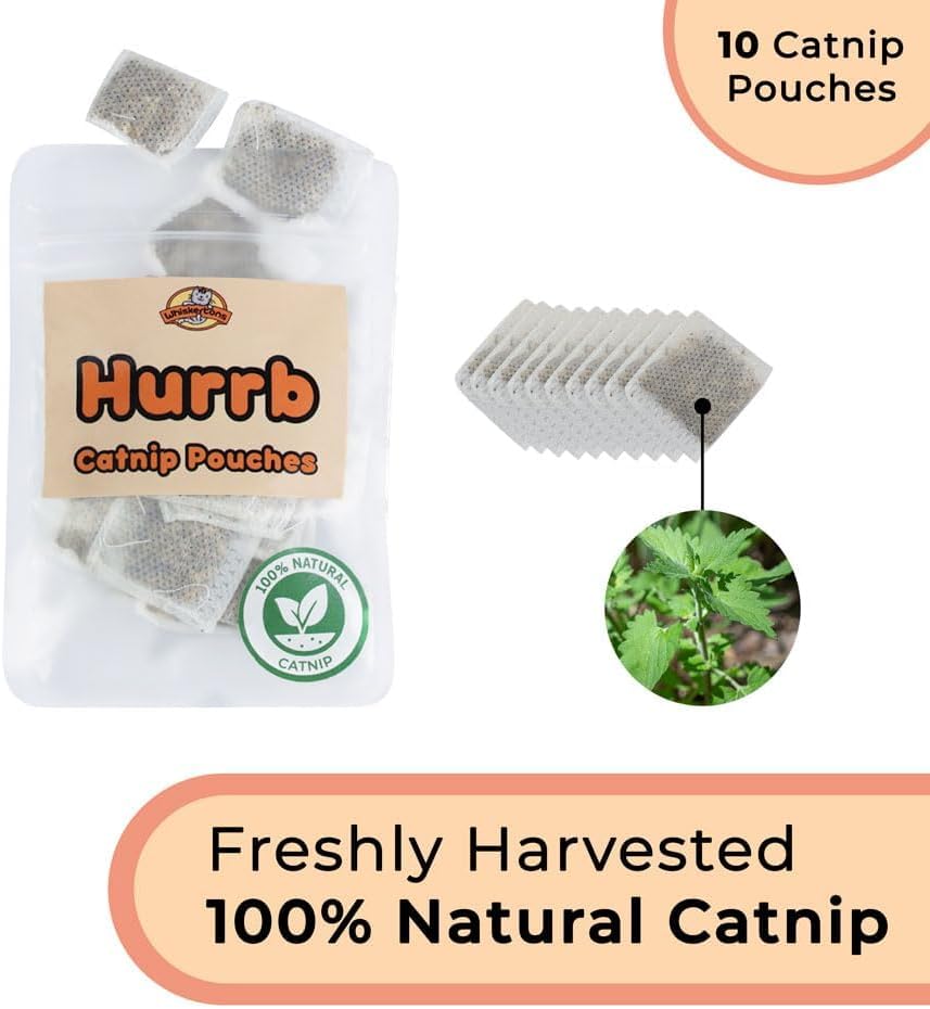 Interactive Catnip Bird Toy Set (5 Replacement Catnip Birds)