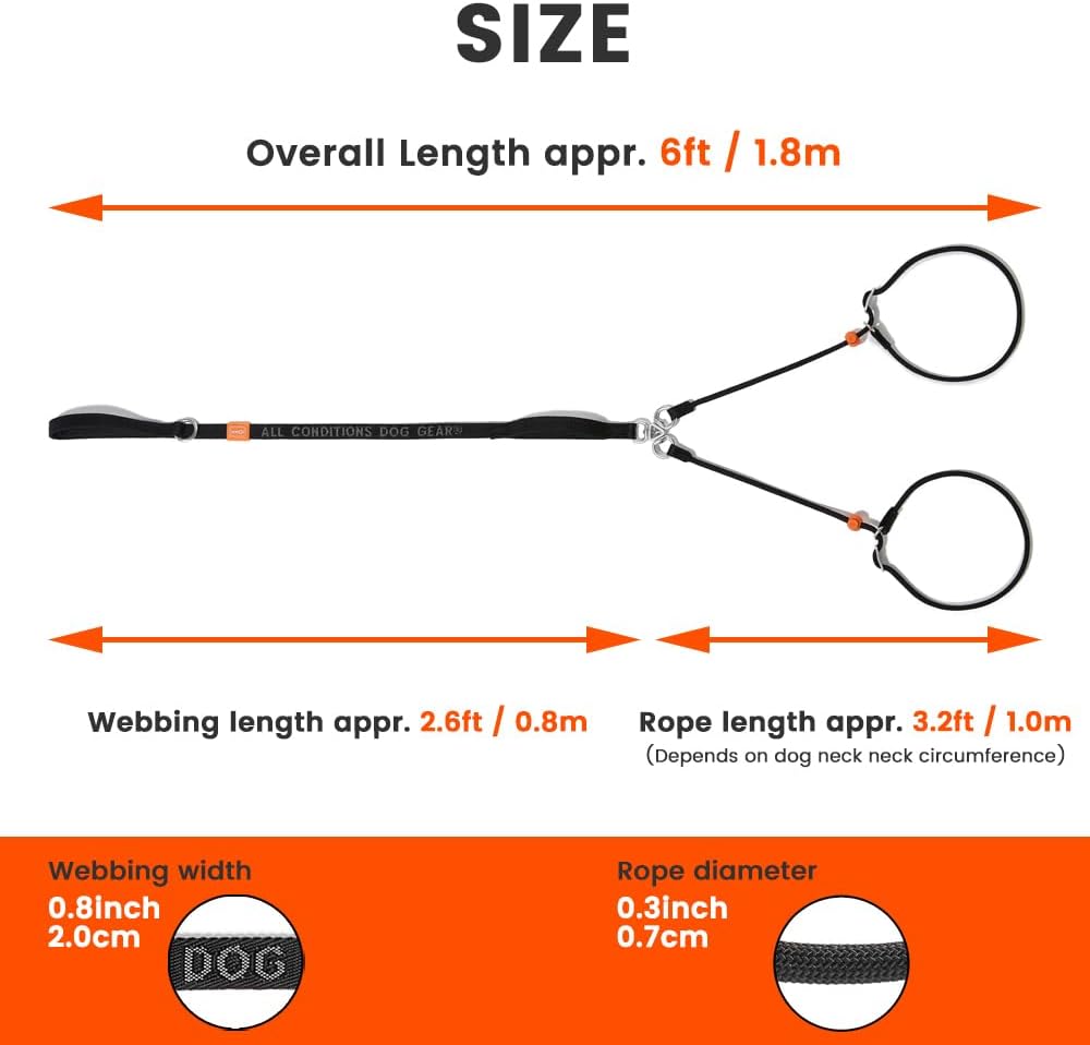 Howgo Double Slip Leash Slip Lead with Two Handles| Dual Dog Slip Lead for 2 Dogs,360° Swivel No Tangle | Dog Training Collar | Double Clip Leash Coupler and Splitter (Multicolor, 6FT)