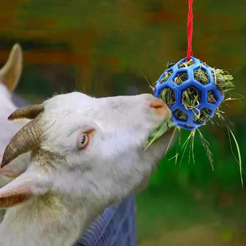 3PCS Hay Feeder Ball Toy for Horses, Goats & Livestock – Rainbow Colors with Hanging Red Cord, Stress Relief & Boredom Prevention (Green, Blue, Red)