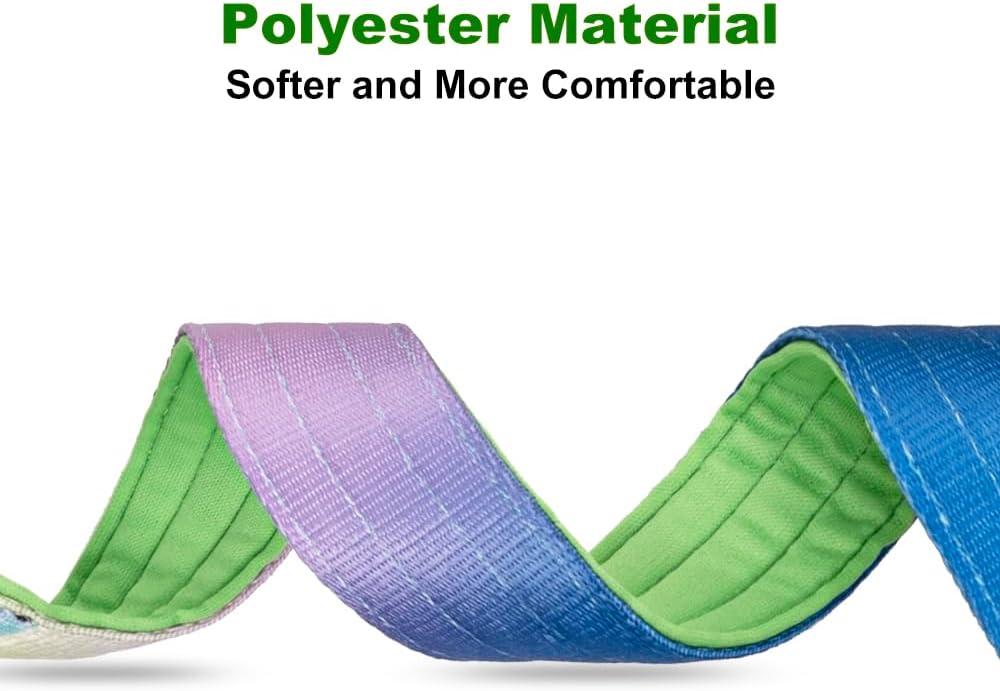 TSPRO Premium Dog Collars Tactical Dog Collar with Handle and Heavy Duty Quick-Release Metal Buckle Durable Thick and Adjustable for Medium to Large Dogs (Gradient Rainbow M)