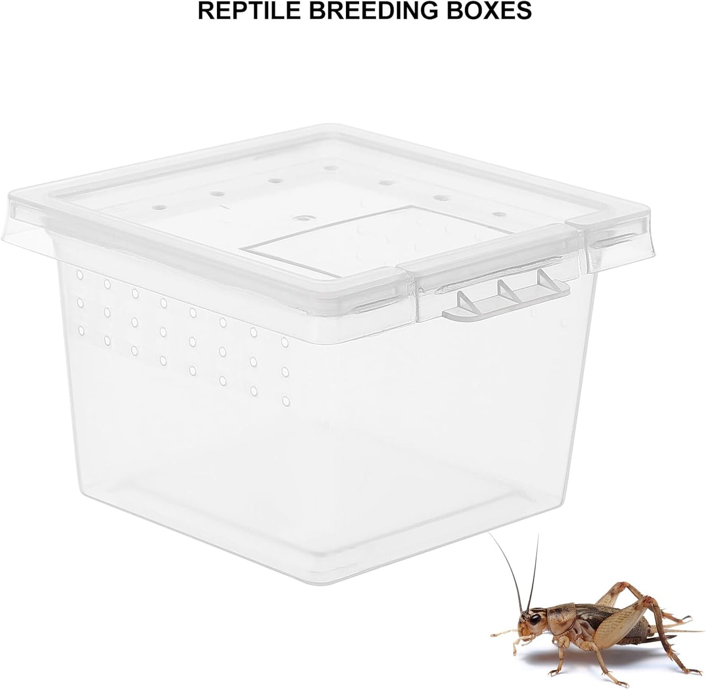 balacoo Reptile Feeding Box: 100Pcs Reptile Breeding Box Plastic Transparent Feeding Enclosure Case Hatching Container with Lid for Spider Scorpion Gecko Snake Tortoise