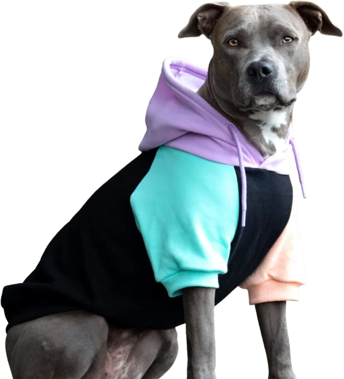 Spark Paws Dog Hoodie – Premium Dog Sweater for Small, Medium, and Large Dogs | Warm Outfits for French Bulldogs, Pitbull, Puppy, Winter Jacket Alternative - Cyber Punk - 3XL