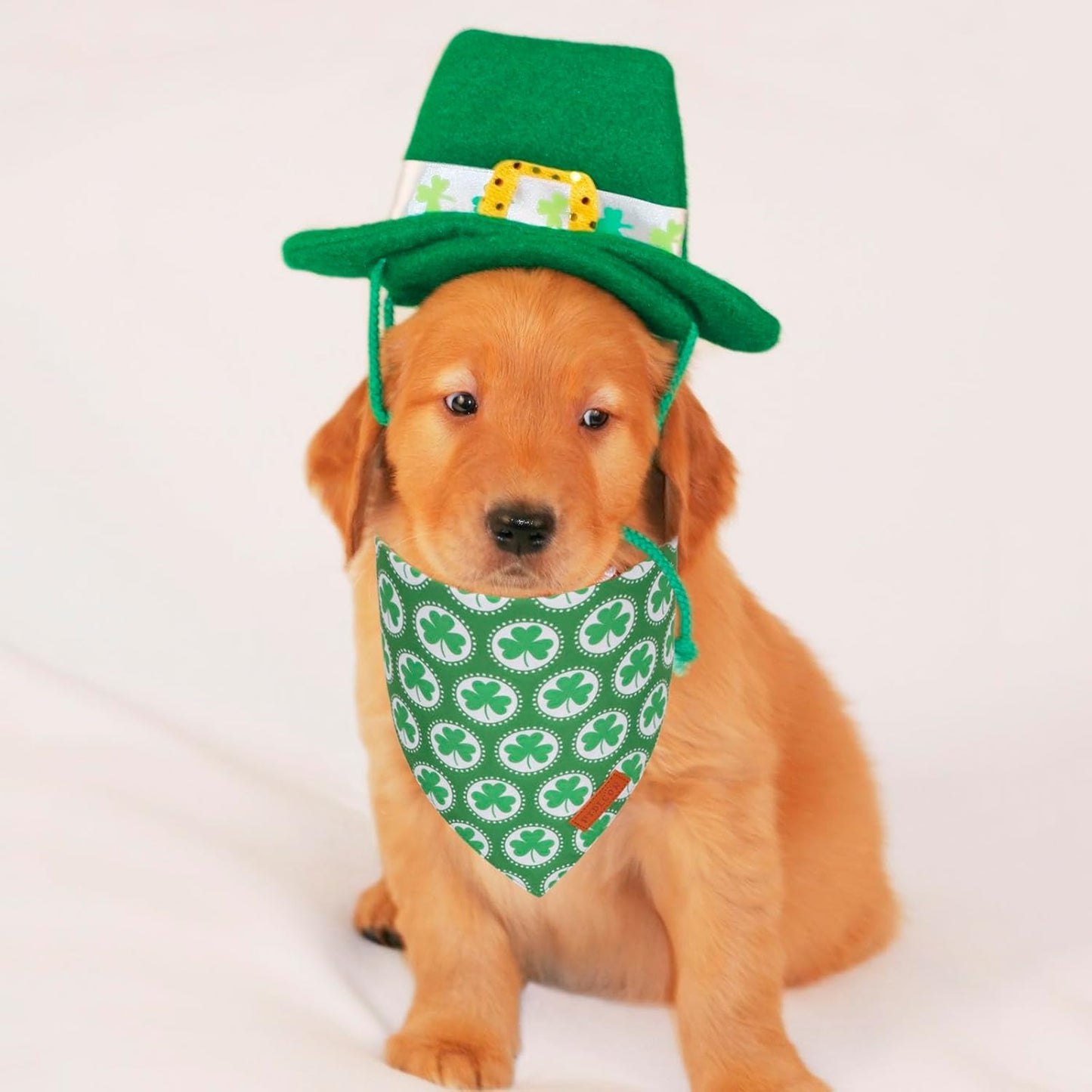 PTDECOR St.Patrick's Day Dog Bandana,Green Shamrock Reversible Holiday Dog Scarf, Multi Size, Triangle Irish Bandanas for Small Pets (Small)