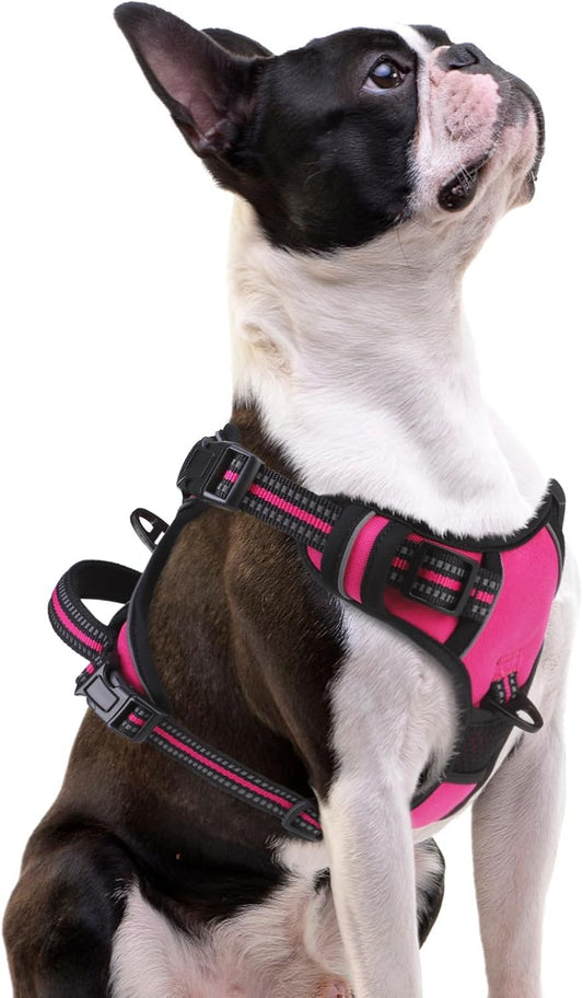 PUPTECK No Pull Dog Harness Small Sized, Adjustable Reflective Dog Harness with Handle Easy Control, Comfortable Soft Padded Pet Vest Harness for Small Dogs, Fuschia S