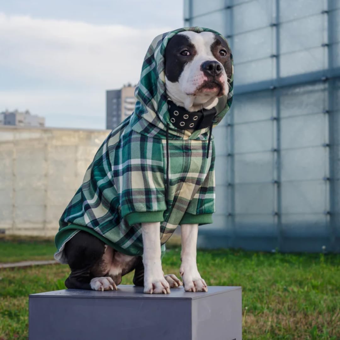 Spark Paws Dog Hoodie – Premium Dog Sweater for Small, Medium, and Large Dogs | Warm Outfits for French Bulldogs, Pitbull, Puppy, Winter Jacket Alternative - Green Plaid - M