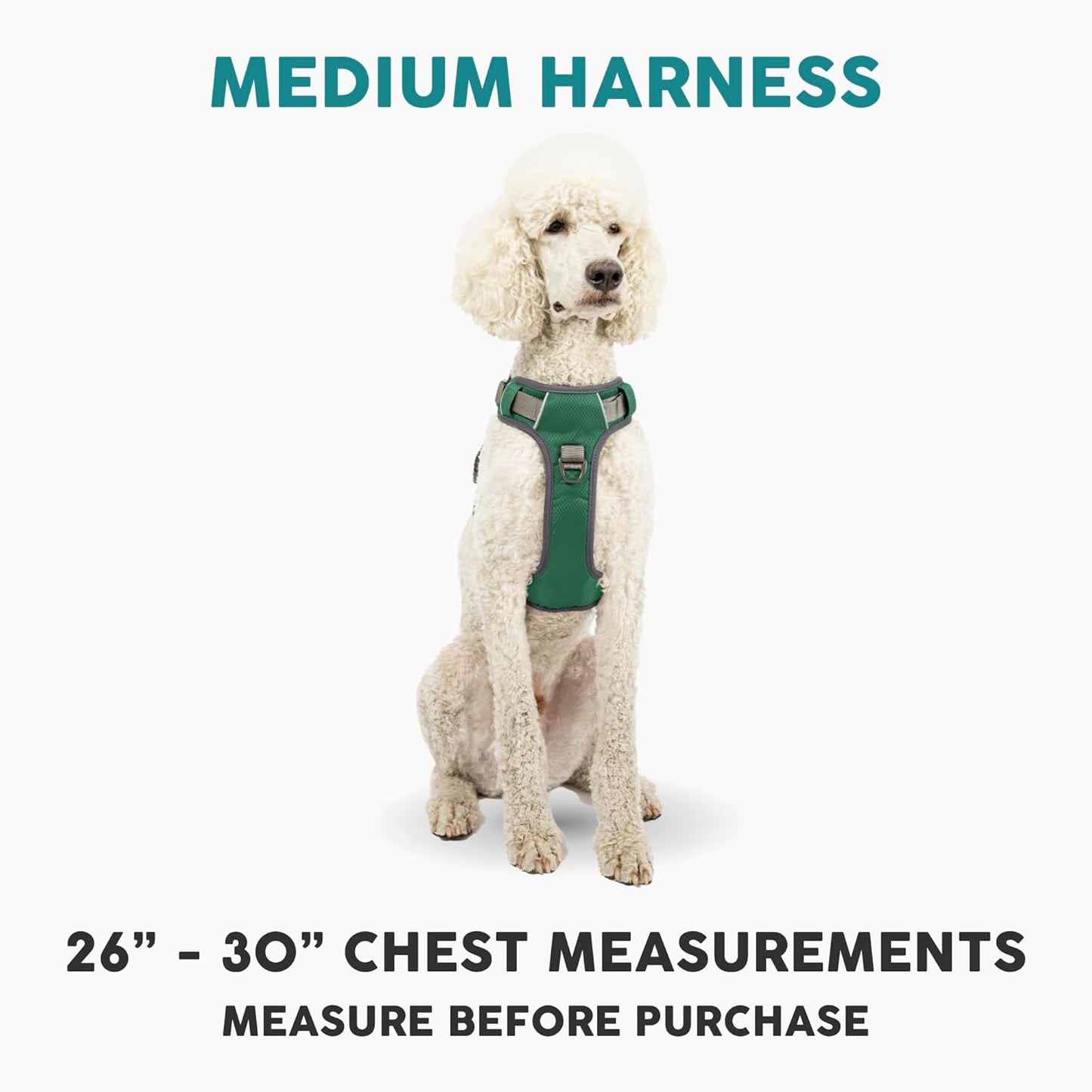 Embark Adventure Dog Harness, Reflective Trim No Pull Dog Harness Medium Sized Dogs - Military Grade Nylon, Front Clip with Gel Lined Handle.